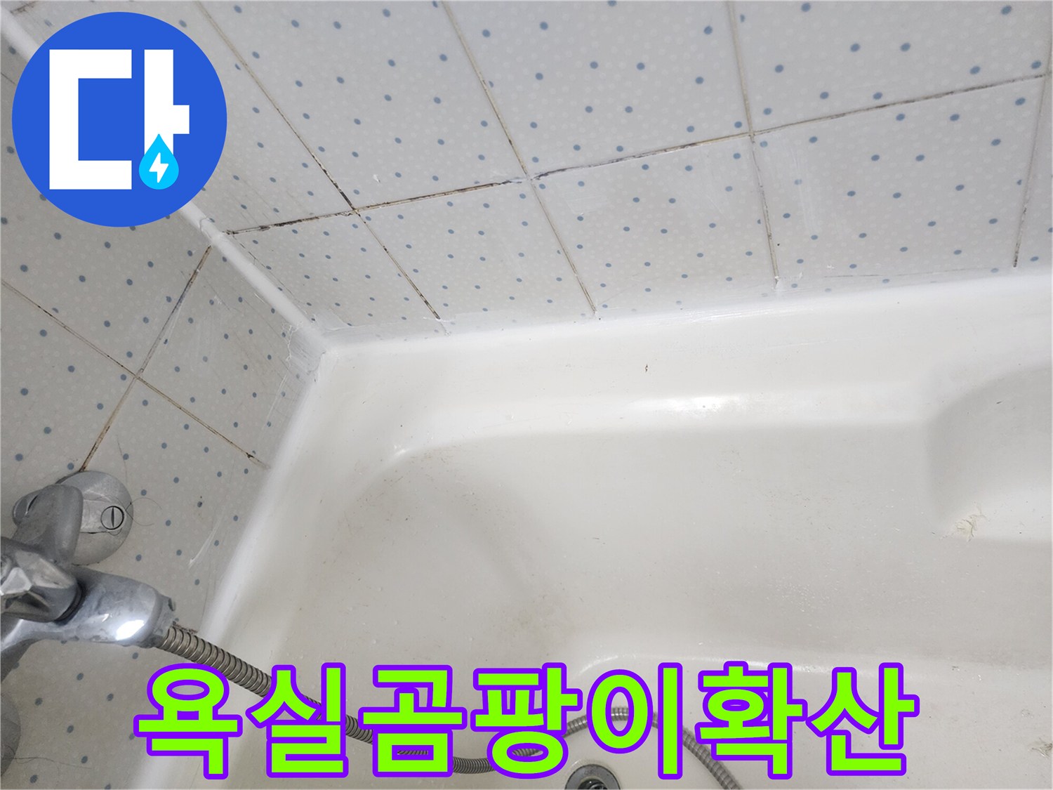 욕실-타일-줄눈과-욕조-실리콘에-광범위하게-퍼진-검은-곰팡이-현상