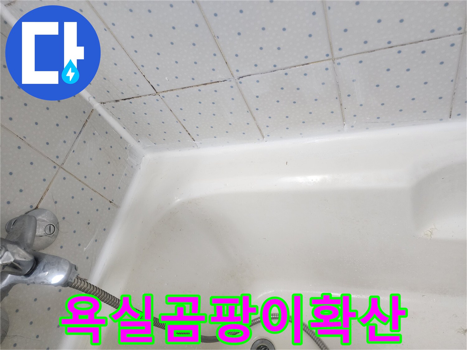 욕실-타일-줄눈과-욕조-실리콘에-광범위하게-퍼진-검은-곰팡이-현상