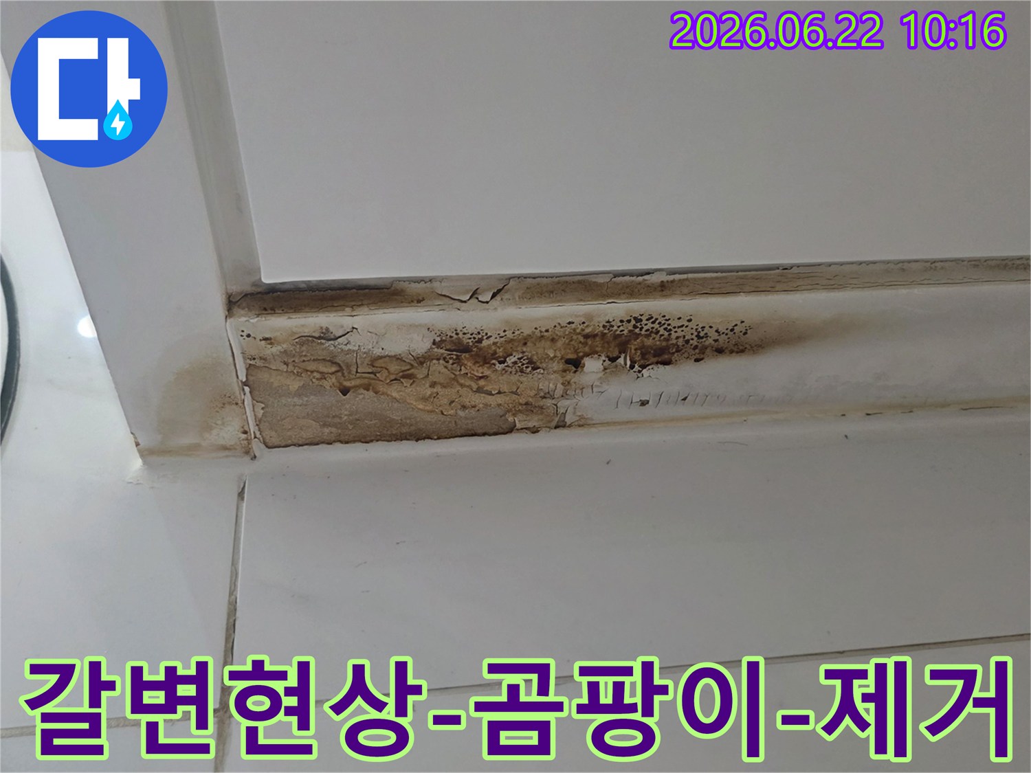 천장-모서리에-발생한-심각한-갈변-현상과-곰팡이-누수로-인한-벽면-손상-모습