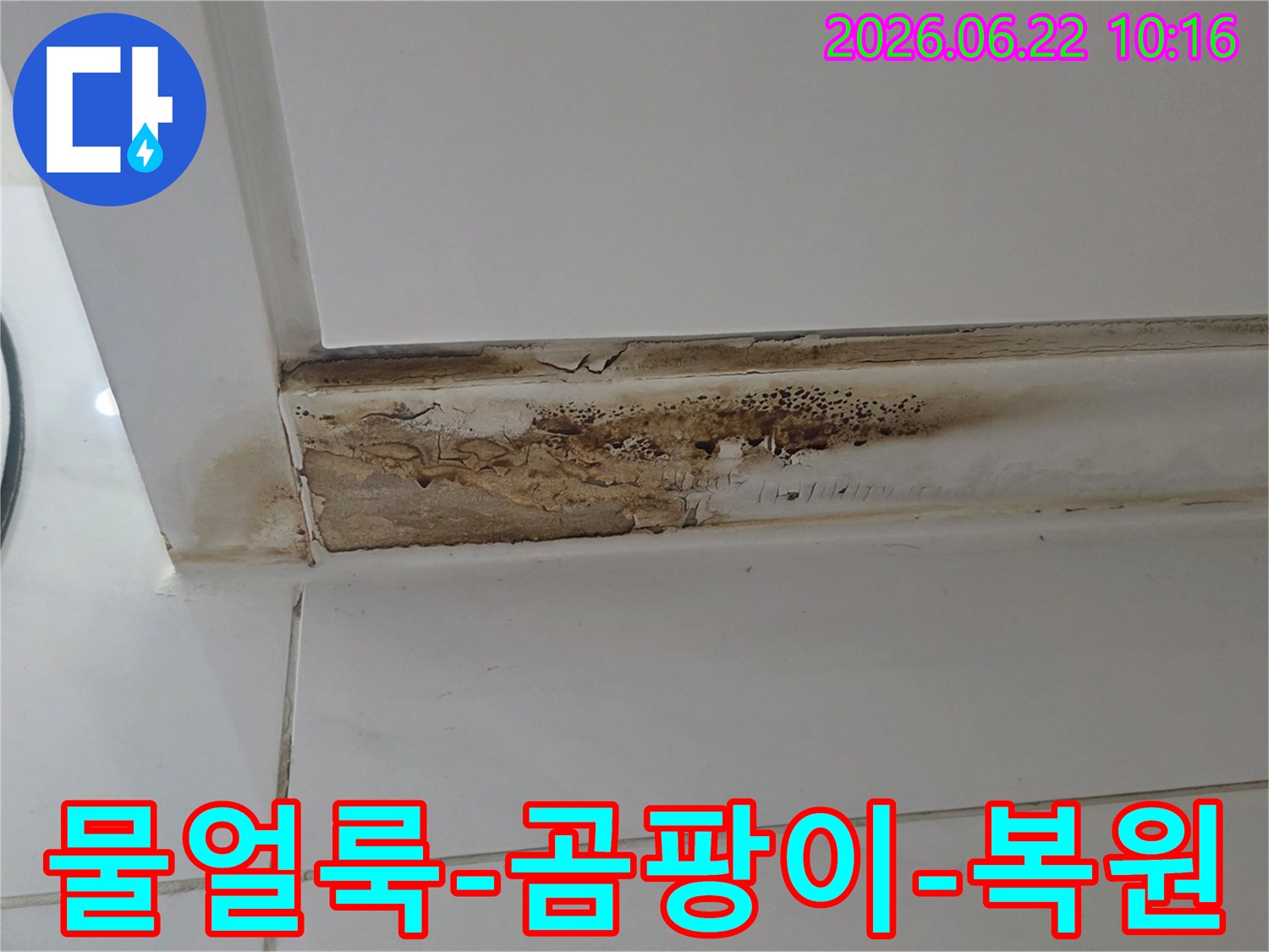 천장-모서리에-발생한-심각한-물얼룩과-곰팡이-누수로-인한-벽면-손상-모습