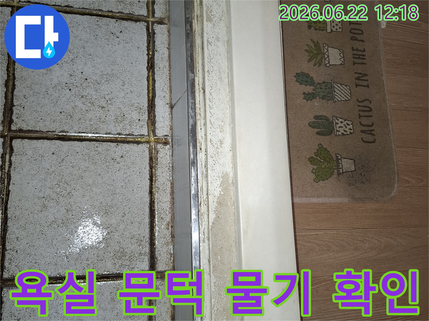 욕실 문턱 아래에 물기가 스며들어 마루가 젖은 모습-누수 발생 가능성을 시사하는 중요한 현장 증거입니다