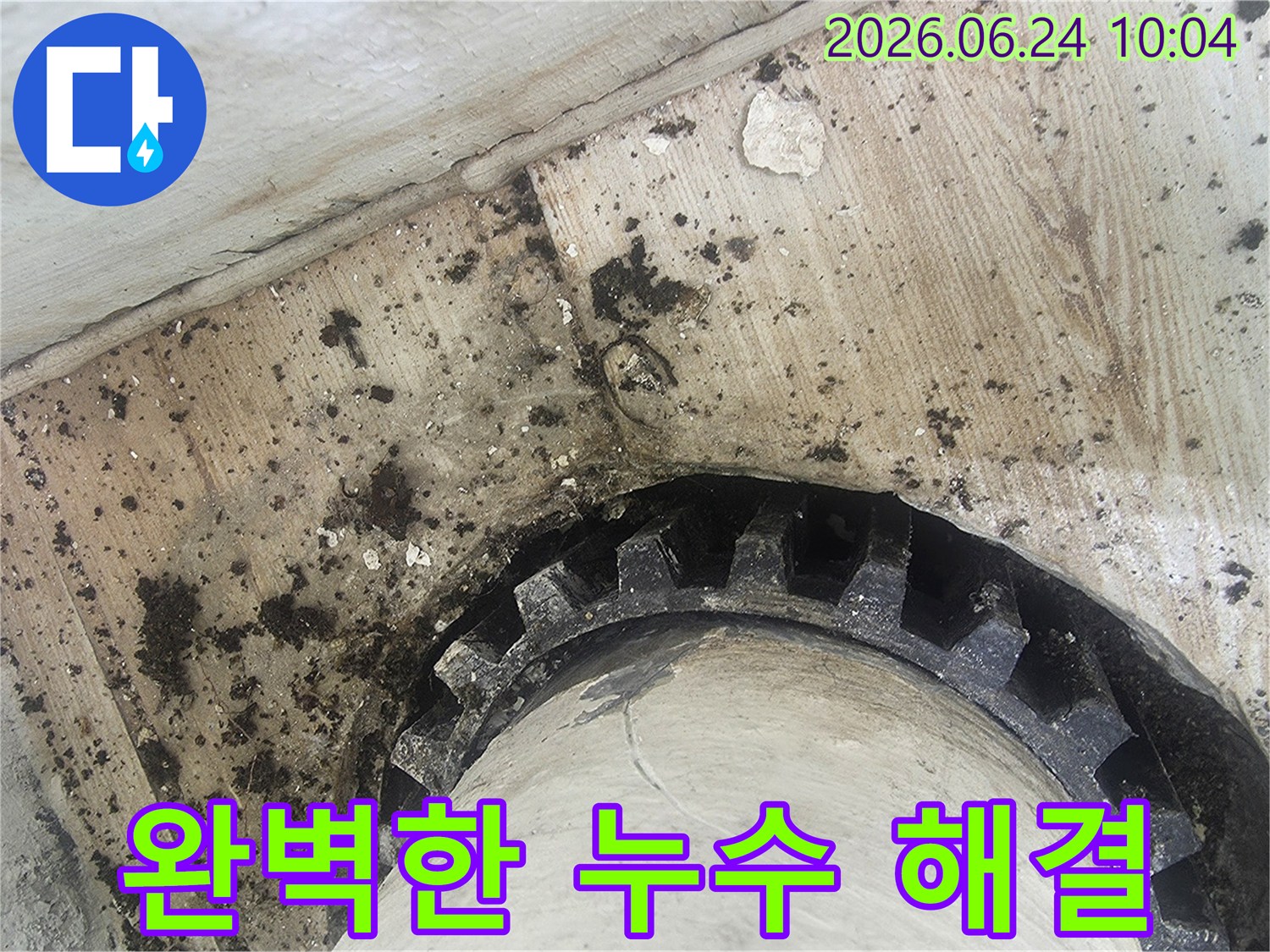 오래된 배관 주변에-물이 새어-검은 곰팡이와-물때가 심하게-생긴 모습을-보여주는 누수 현장