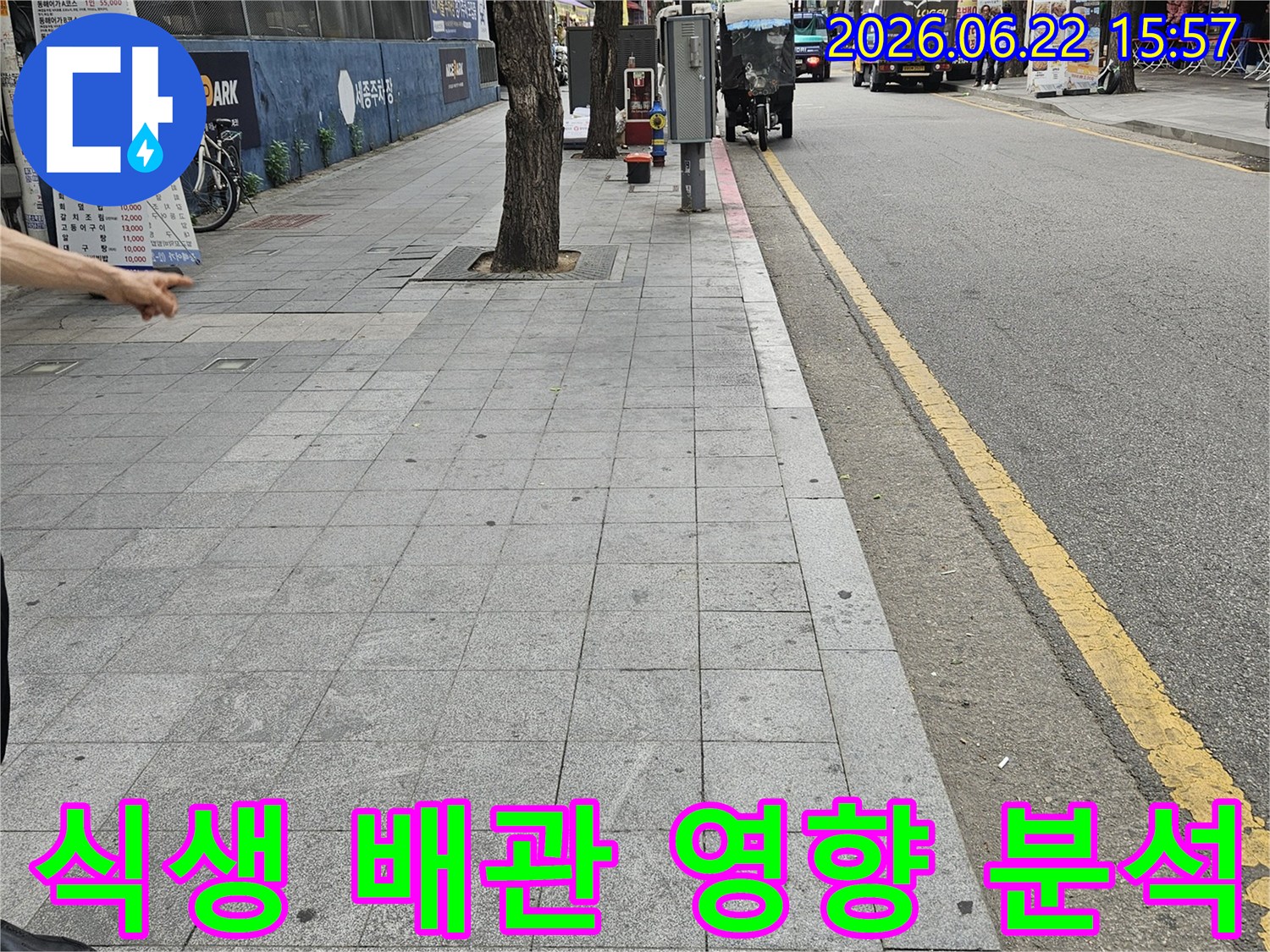 종로구 현장에서-누수 원인 파악을 위해-주변 식생의 뿌리가-지하 배관에-미치는 영향을-분석하는 엔지니어의-전문적인 관찰입니다