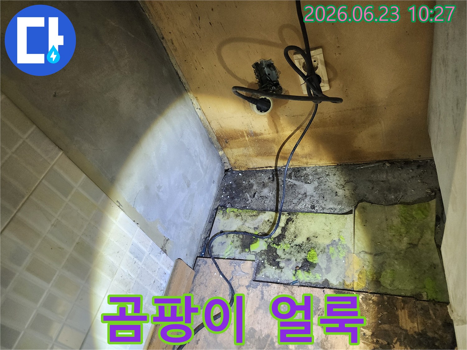 누수-현장에서-확인된-바닥재의-부패와-벽면의-곰팡이-그리고-전기-배선-주변의-위험입니다.