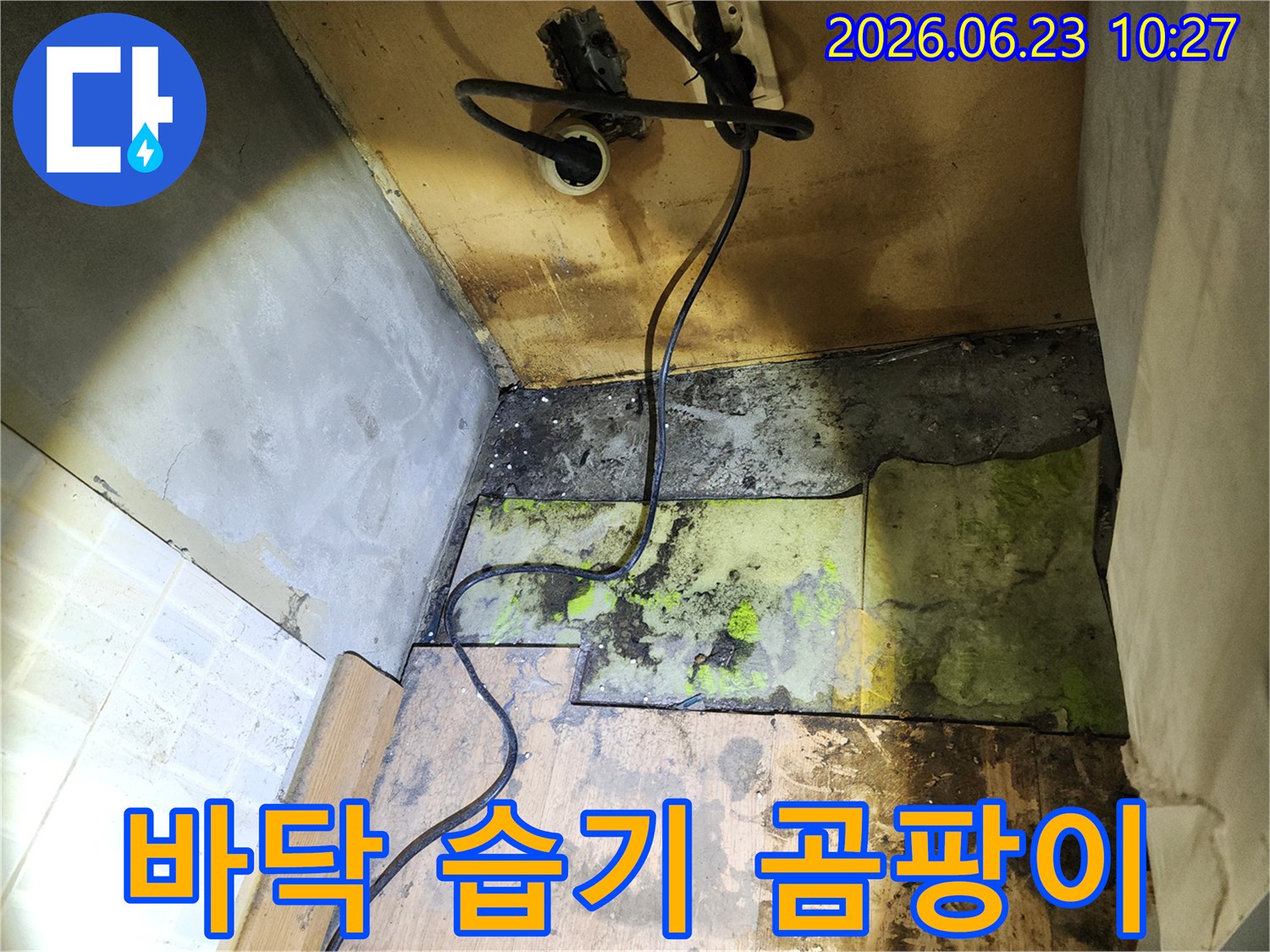 누수로-젖은-바닥재를-제거한-후-하부-구조에-발생한-습기와-곰팡이를-보여주며-처리-과정의-중요성을-강조하는-사진