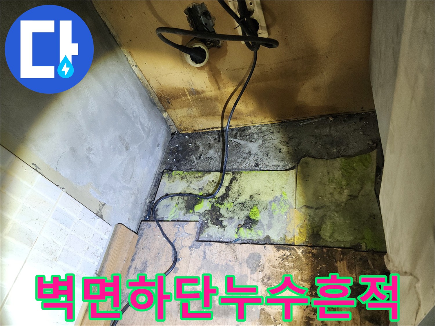 배관 주변-습기로 인해 곰팡이가 발생한 벽면 하단부