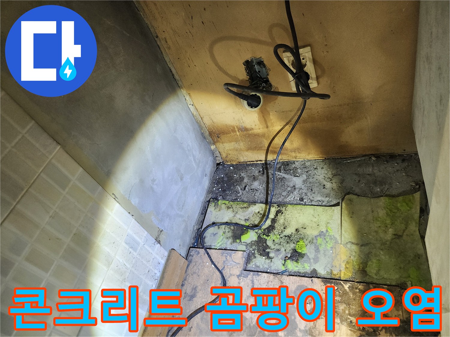 벽체 하단부-습기 유입으로 인한 곰팡이와 얼룩 상태