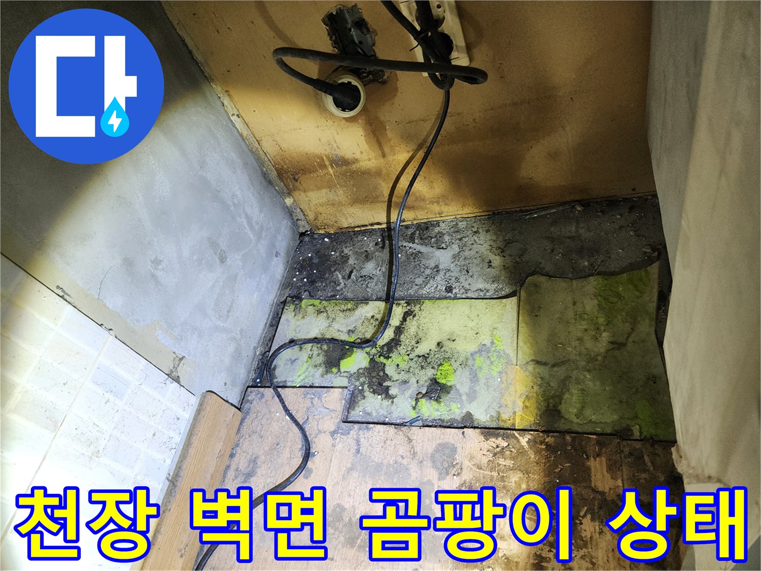 송파구 현장 천장 벽면의 심한 곰팡이와 습기 오염 상태를 보여주는 사진입니다.