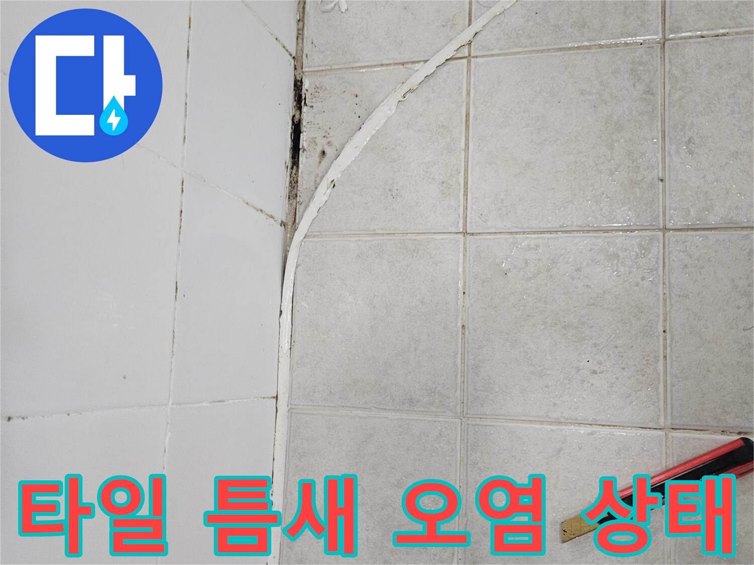 화장실 벽면 타일 사이의 검은색 곰팡이와 오염된 상태를 보여주는 사진입니다.