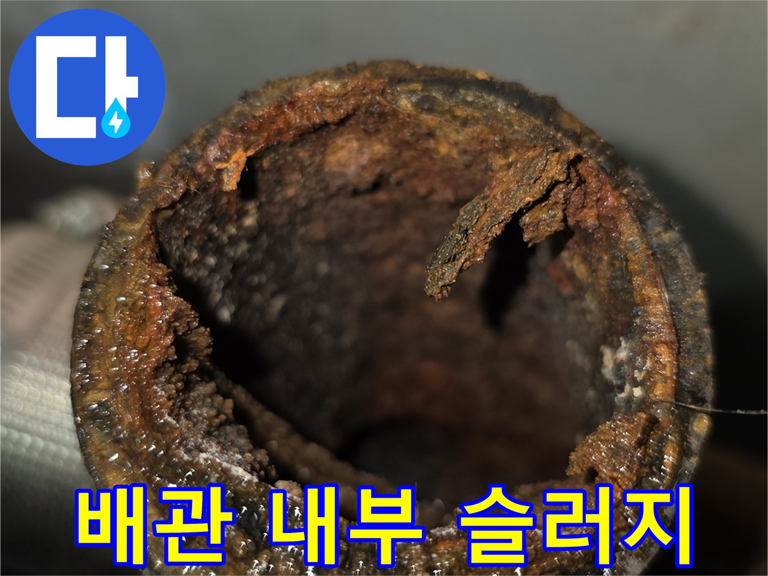 하수 배관 내부에 쌓여 있는 머리카락과 오물 덩어리