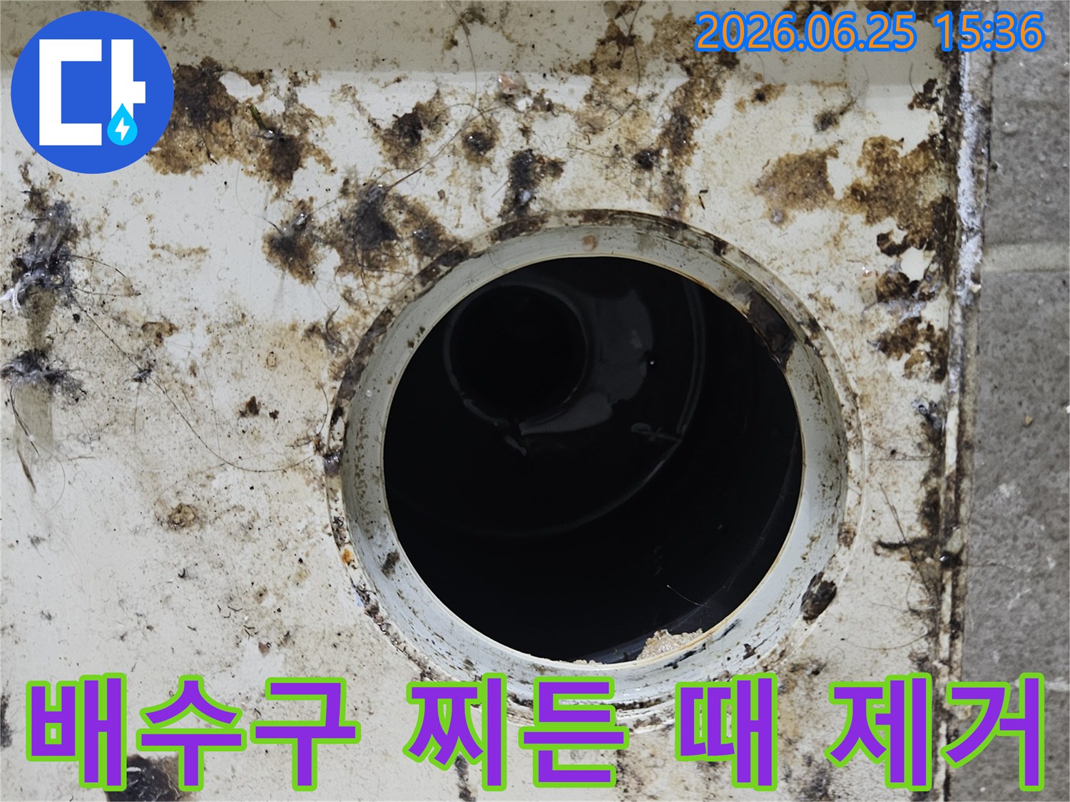 배수구 주변에 검고 끈적한 찌든 때와 곰팡이가 심하게 낀 모습-누수 원인 파악을 위한 청소 전 상태입니다