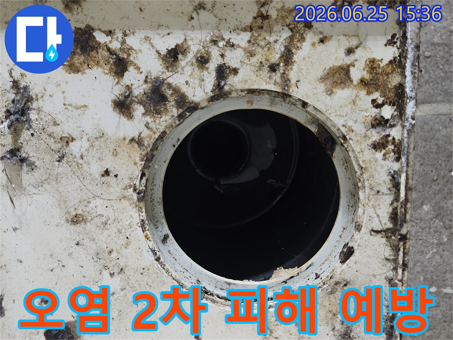 오염된 배수구 주변에 곰팡이와 이물질이 심하게 낀 모습-2차 피해를 예방하기 위한 신속한 조치가 필요합니다
