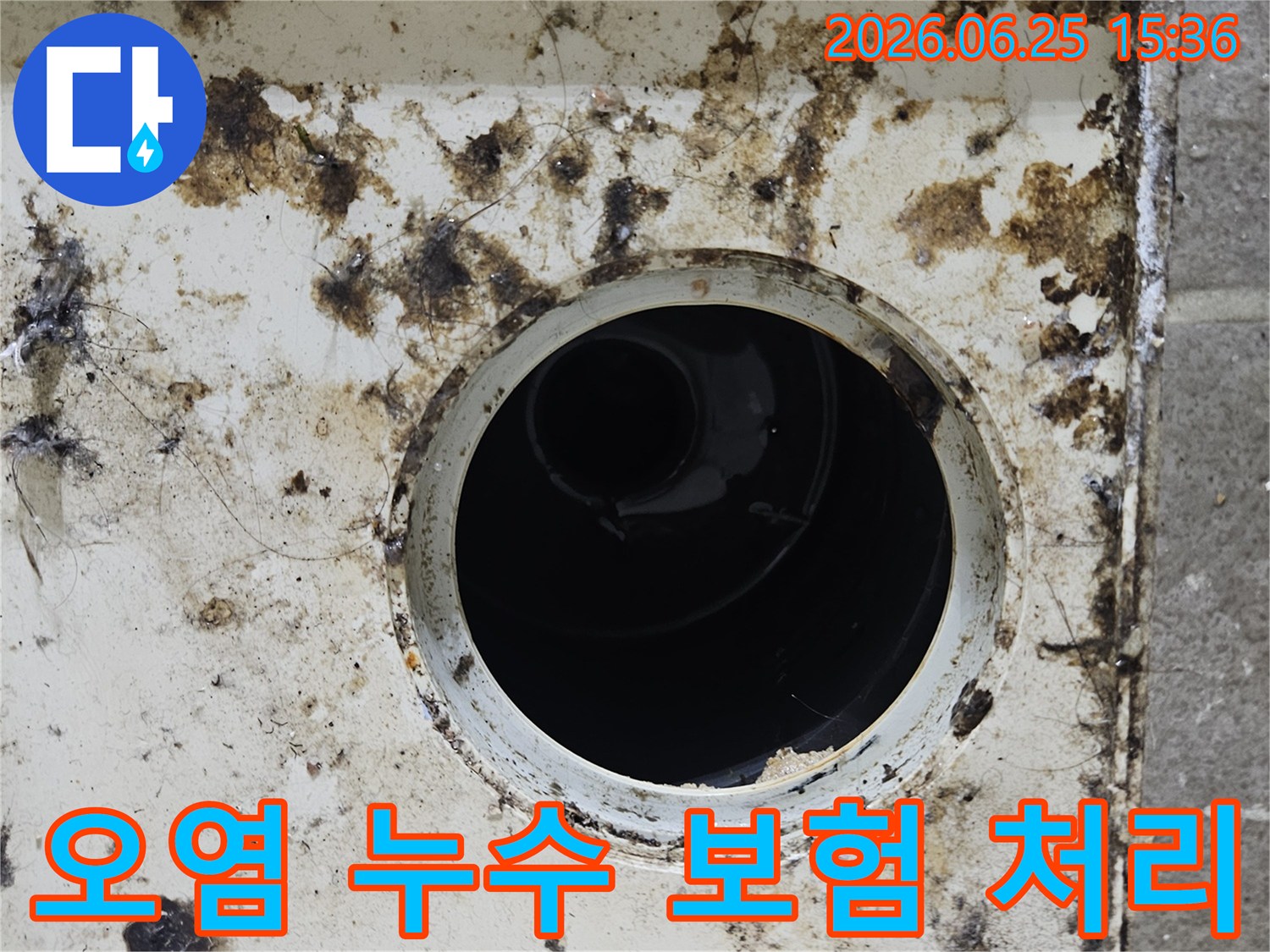 오염된 배수구 주변에 곰팡이와 이물질이 심하게 낀 모습-누수 보험 처리를 위한 증거 자료로 활용됩니다
