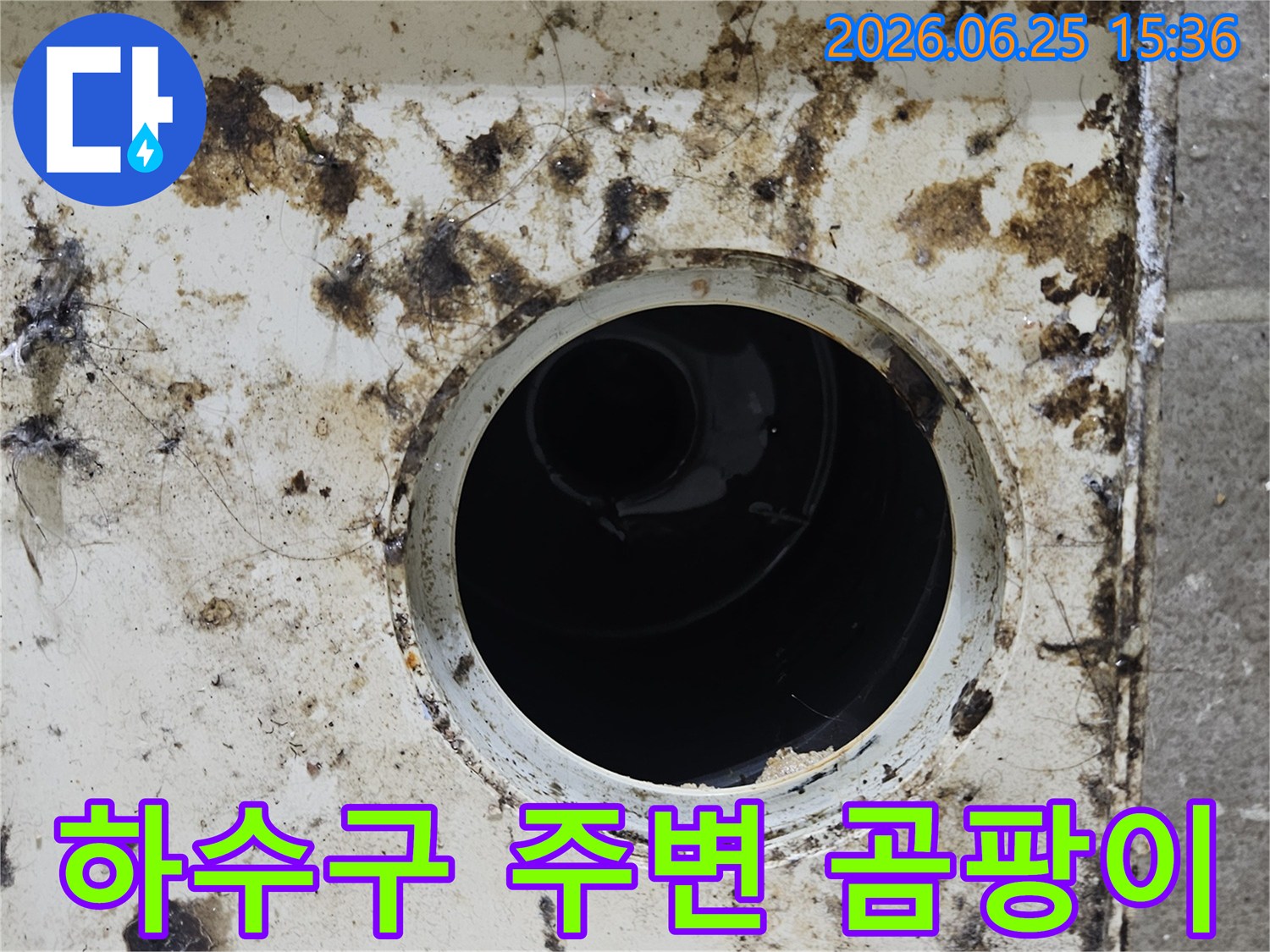 지저분한 배수구 주변에 검은 곰팡이와 이물질이 뒤섞여 있는 모습-누수 문제의 심각성을 보여줍니다