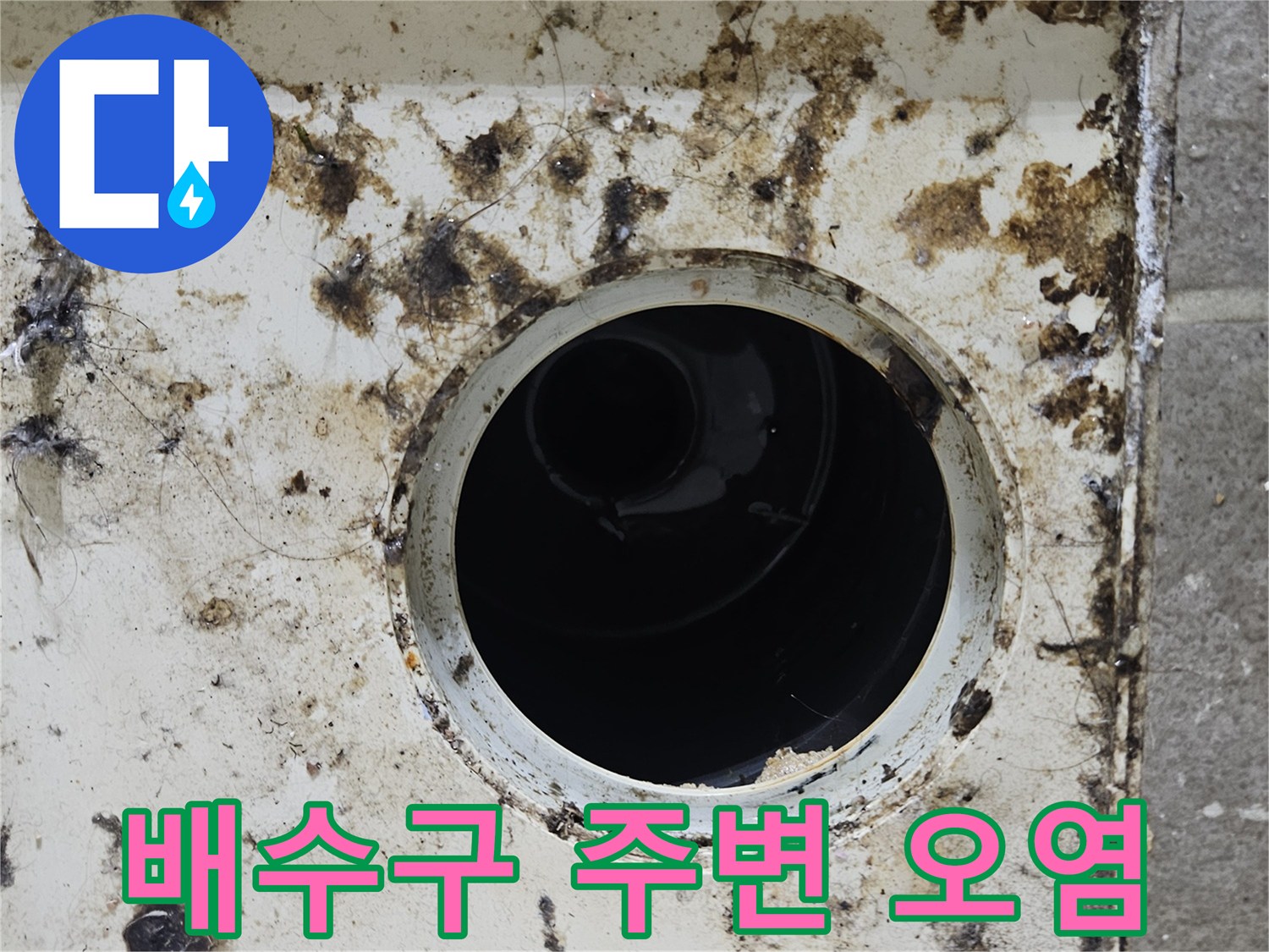 화장실-배수구-주변의-심한-이물질과-오염-상태
