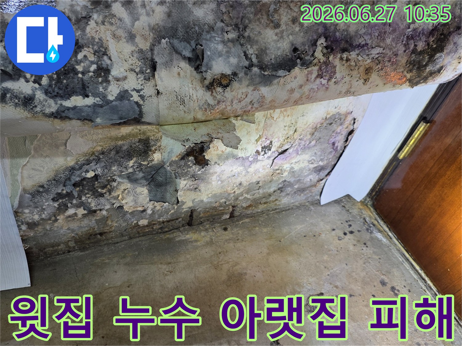 윗집 누수로 인해-아랫집 천장 벽지가 심하게 벗겨지고-검은 곰팡이가 발생한 모습입니다