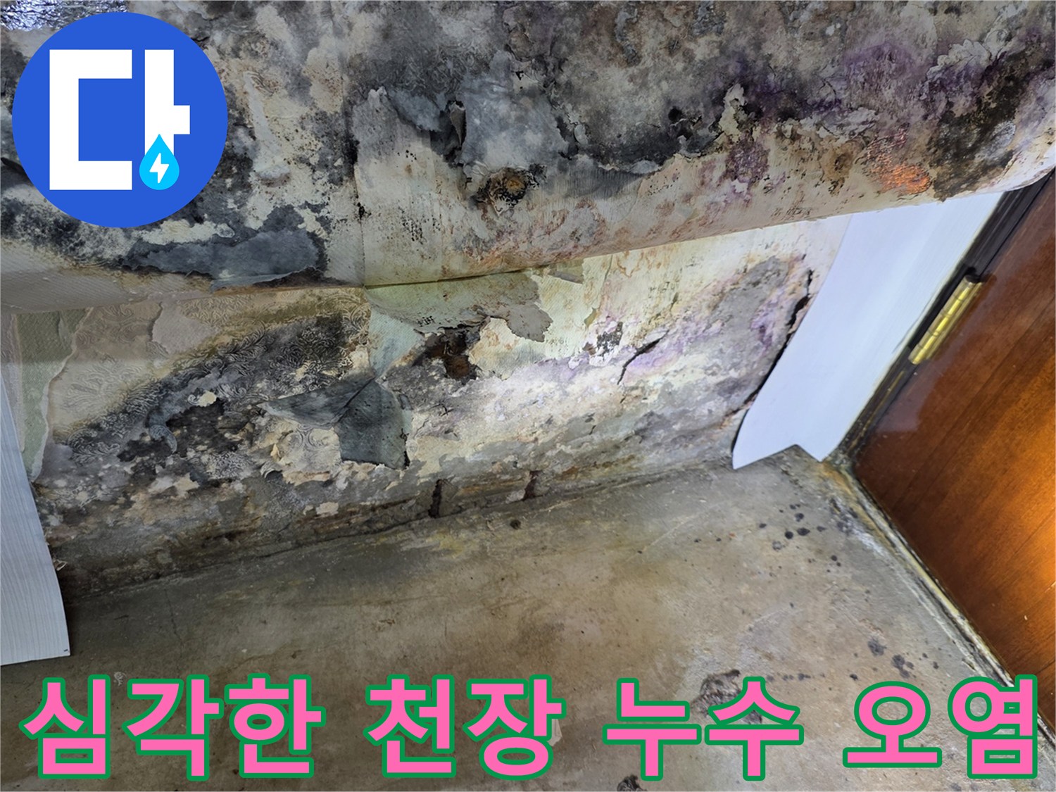 천장 표면의 검은 곰팡이와 습기로 인한 변색 부위
