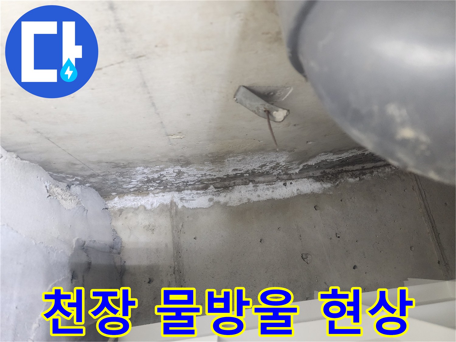 도봉구 시루봉로 아파트에서-천장 누수로 인해-물방울이 맺히고-백화 현상이 발생한 현장입니다