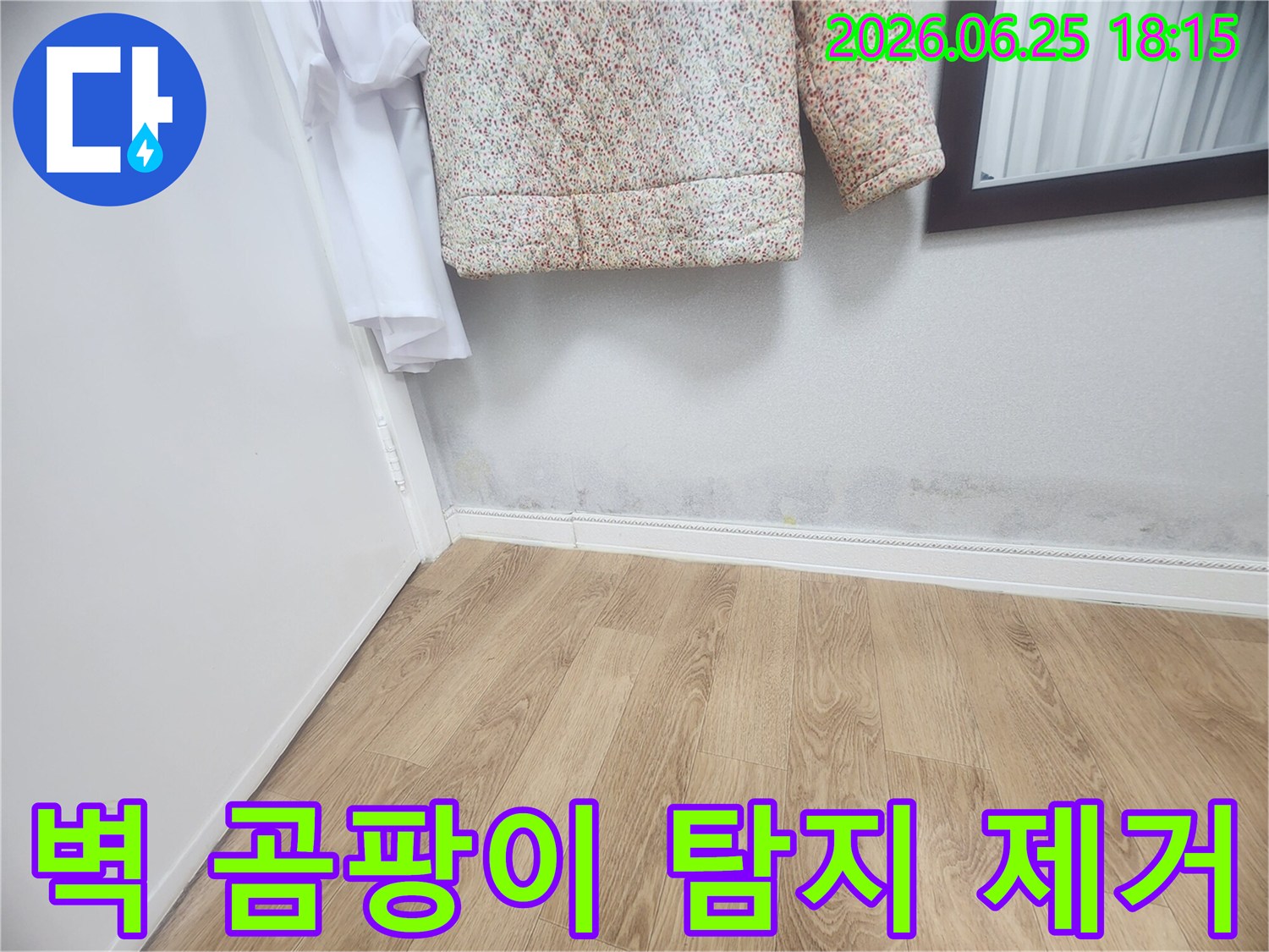 벽 하단에 발생한 곰팡이와-습기 자국은-누수로 인한 것임을 보여주며-누수 탐지 및 곰팡이 제거가 시급합니다.