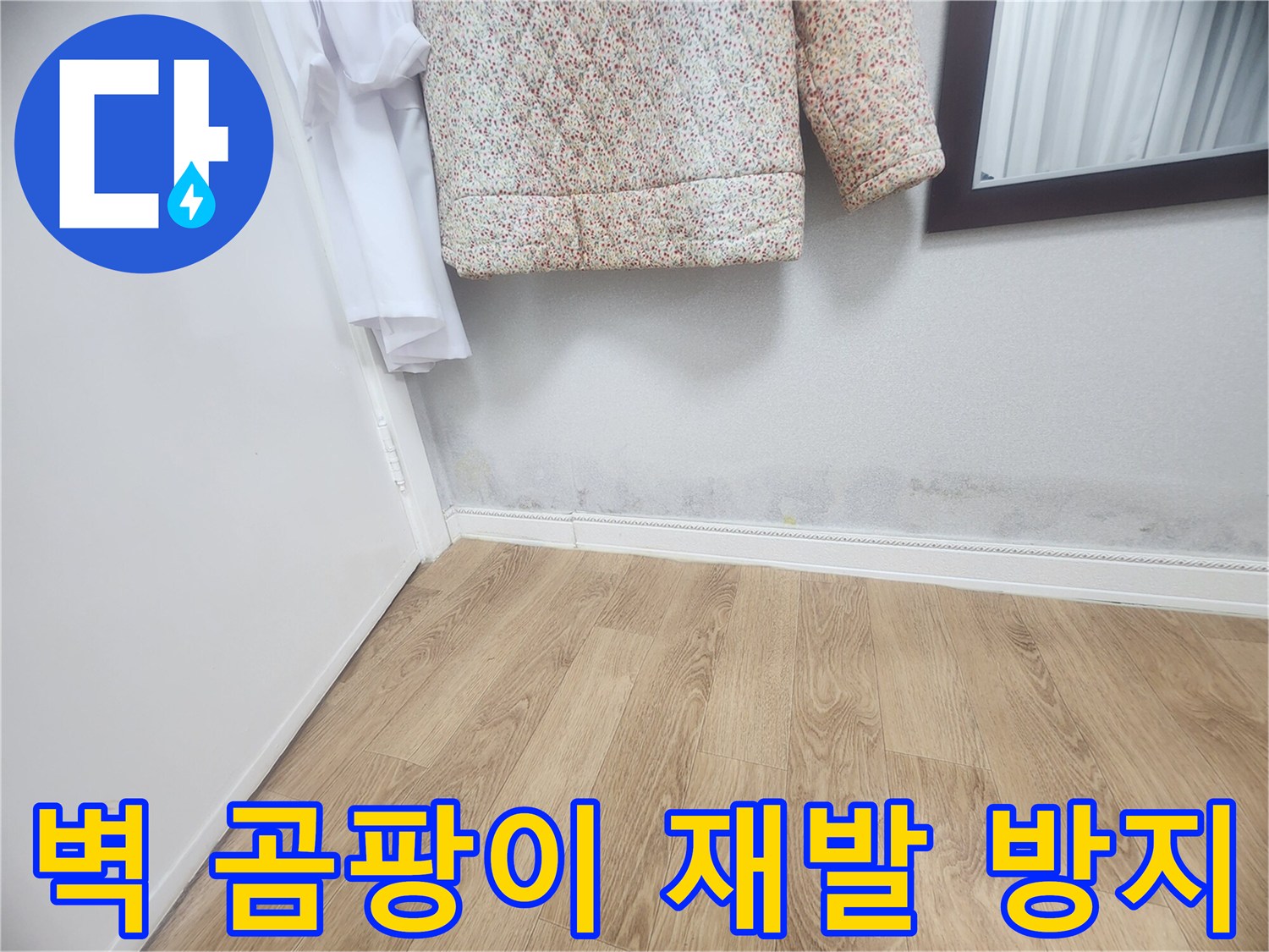 벽 하단에 발생한 곰팡이와-습기 자국은-누수로 인한 것임을 보여주며-재발 없는 완벽한 해결을 위해-전문적인 공사가 필요합니다.