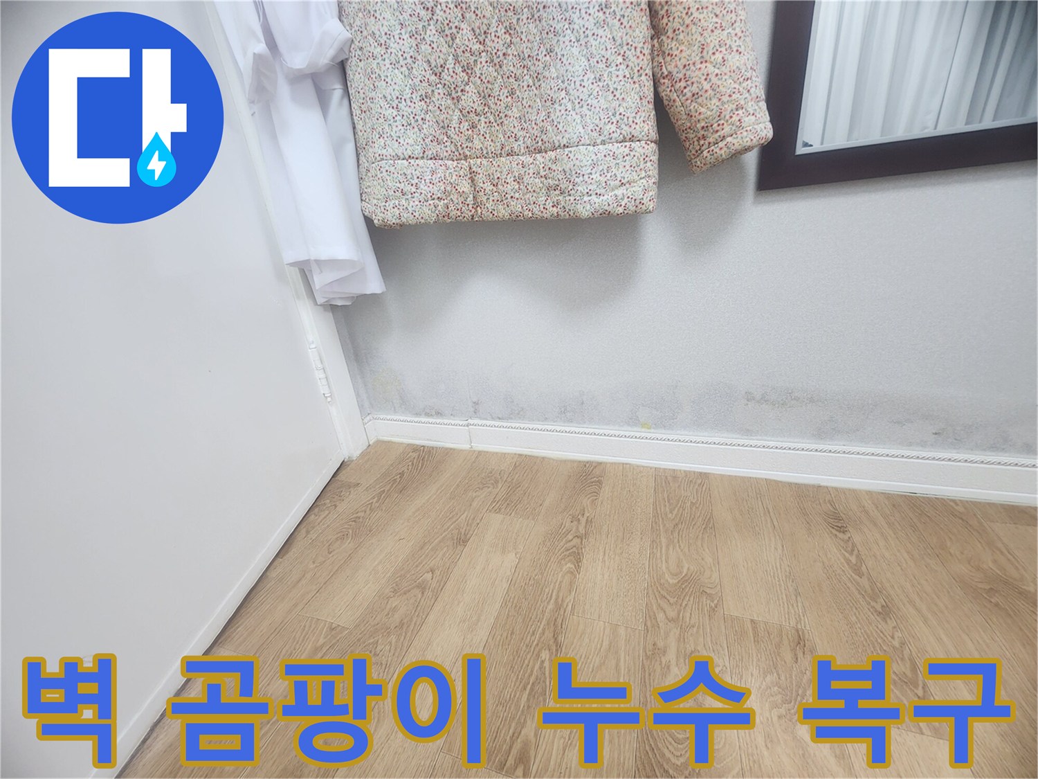 벽 하단에 발생한 곰팡이와-젖은 흔적은-누수가 진행되고 있음을 보여주며-누수 탐지 후 완벽한 복구가 필요합니다.