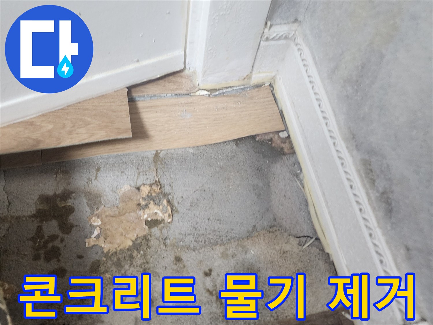 벽과 바닥이 만나는 지점에서-습기로 인해 변색되고-곰팡이가 시작된 듯한-누수 현장 사진입니다.