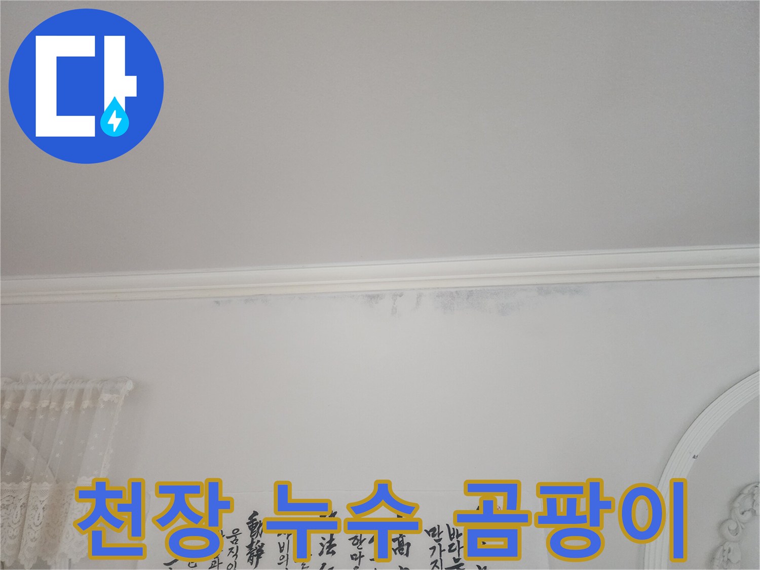 아파트-천장-모서리에-누수로-인해-발생한-곰팡이와-물-자국이-함께-보이는-사진입니다