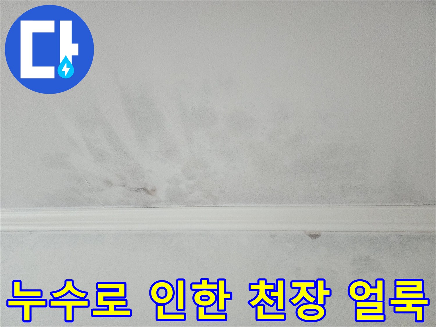 오랜 기간 방치된 천장 누수-변색과 함께 습기가 가득한 모습