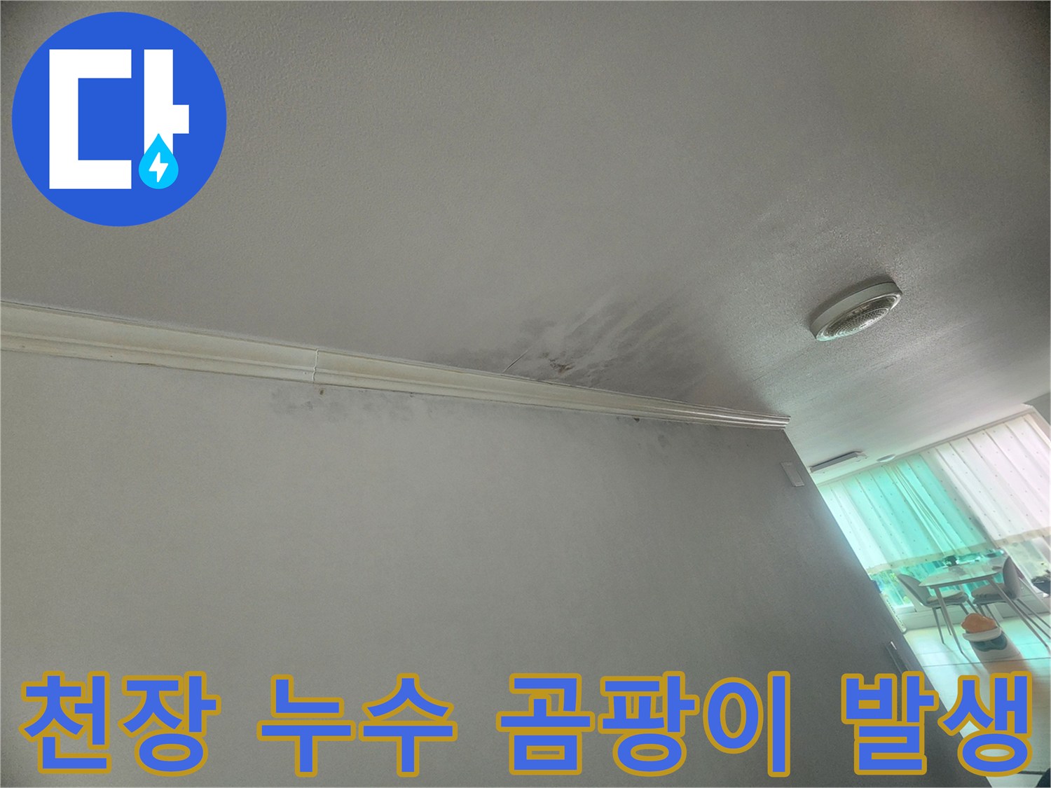 천장-모서리에-누수로-인한-곰팡이-발생이-확인되어-위생상-문제가-우려됩니다