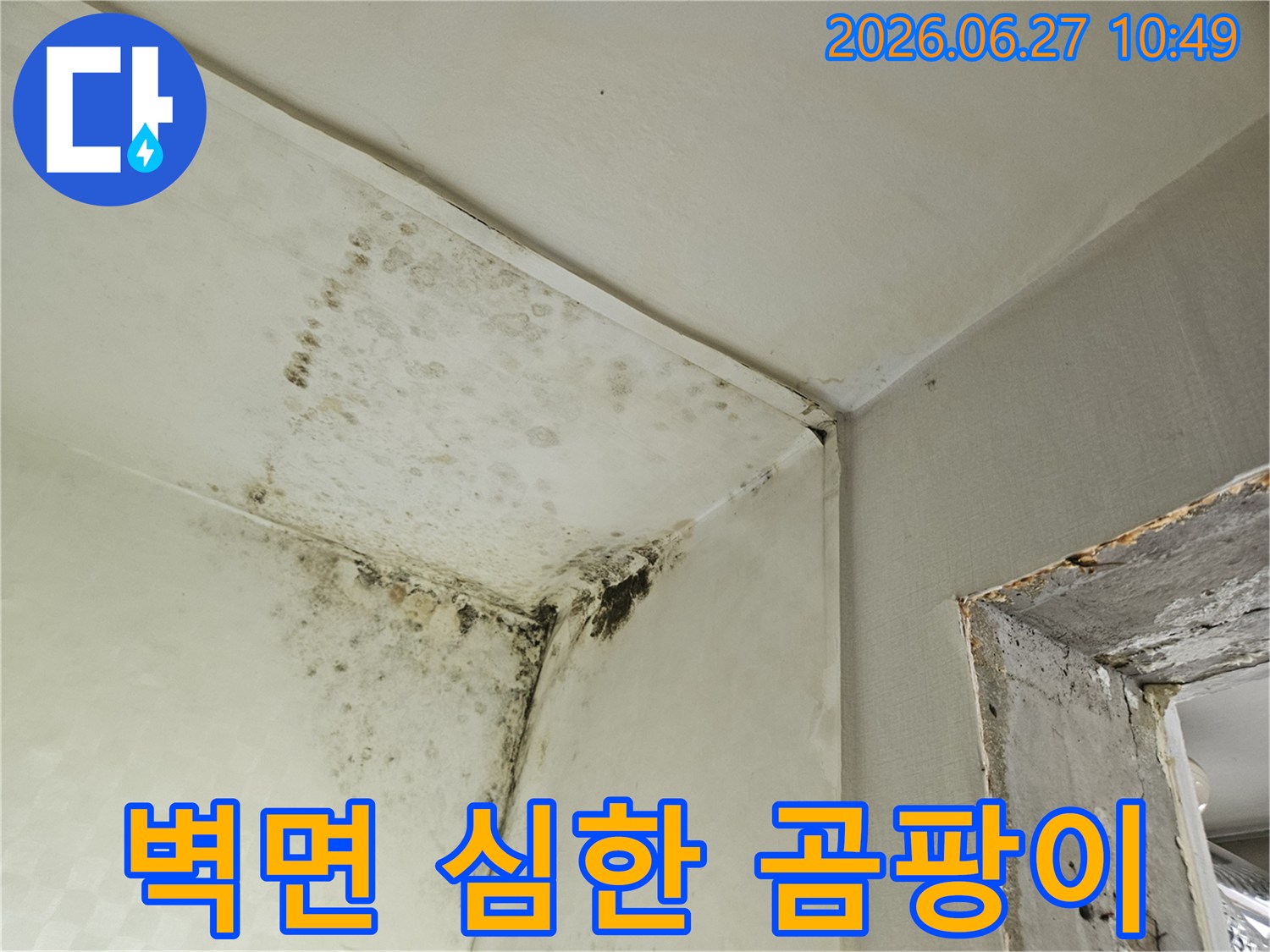 벽과 천장 모서리에 광범위하게 퍼진 검은 곰팡이 얼룩이 찍힌 사진입니다-이는 물이 새거나 결로 현상으로 인해 발생한 심각한 습기 문제를 시사합니다.