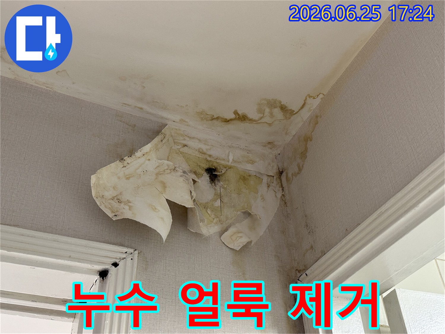 아파트 내부-천장 모서리에서-발견된 누수 흔적으로-벽지가 벗겨지고-얼룩이 진 상태를-담고 있습니다