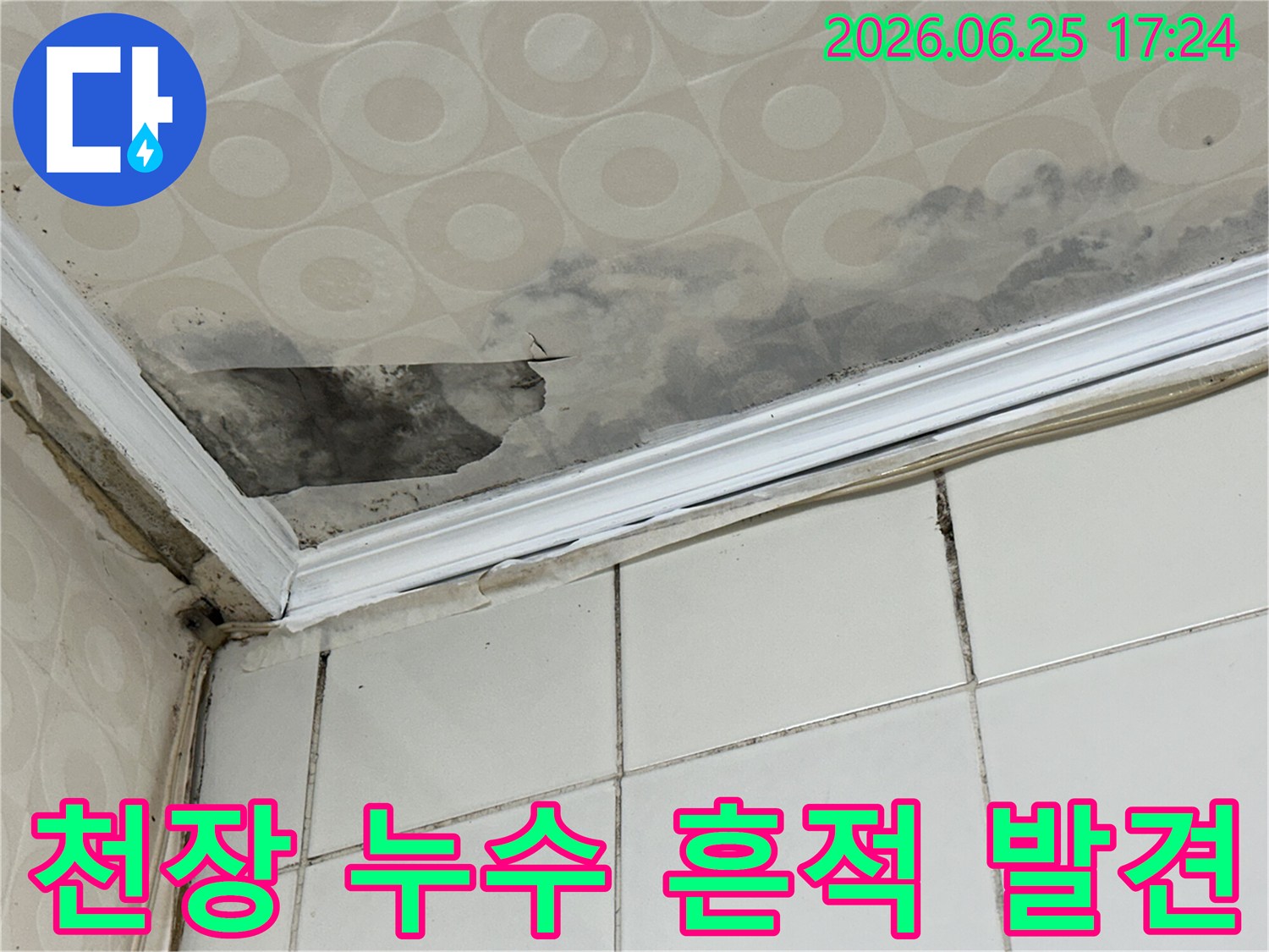 아파트-천장-모서리-부분에-발생한-누수-흔적과-곰팡이를-누수-전문가가-육안으로-정밀하게-검사하고-있습니다