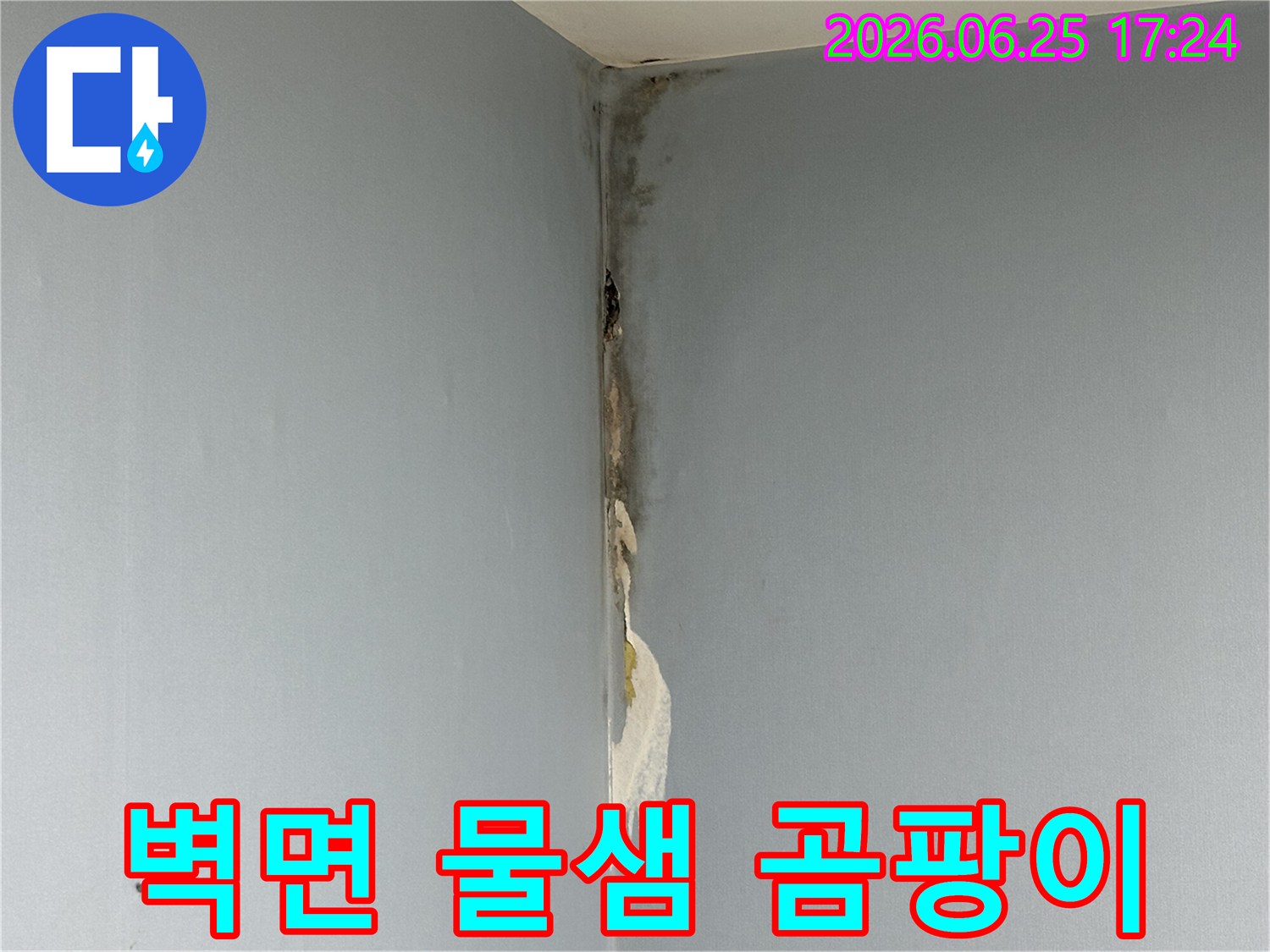 아파트-천장과-벽면-코너에서-발생한-누수로-인해-벽지가-젖고-심한-곰팡이가-피어난-손상-현장을-보여주는-사진입니다