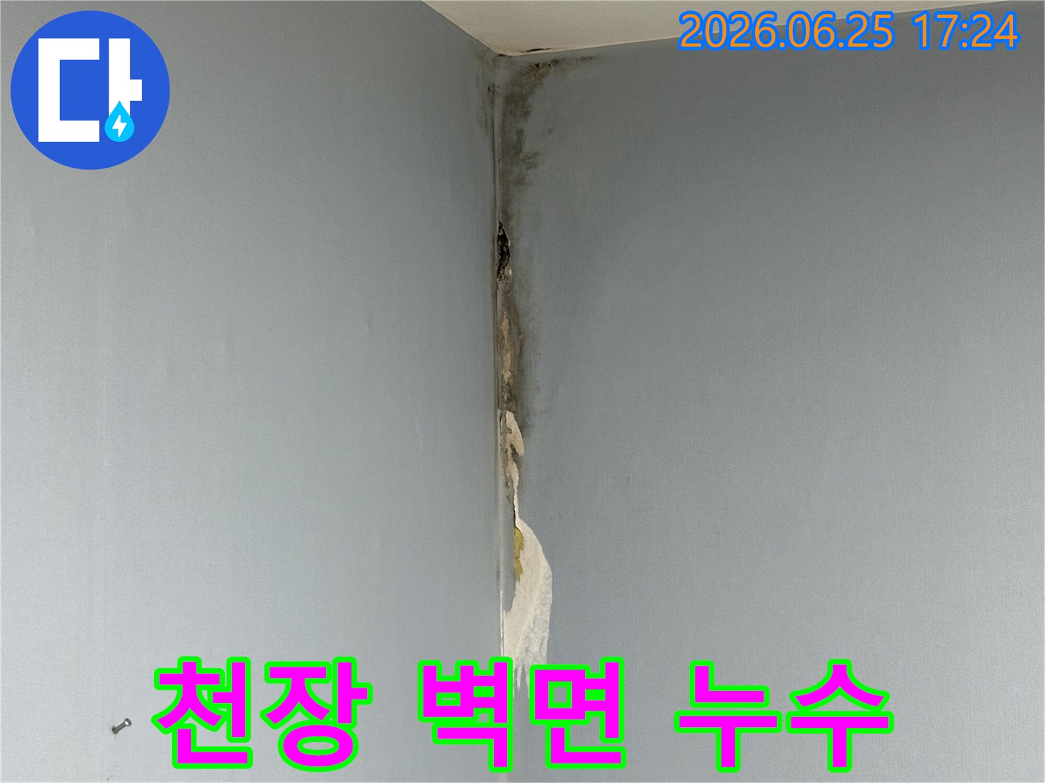 아파트-천장과-벽면-코너에서-발생한-누수로-인해-벽지가-젖고-심한-곰팡이가-피어난-손상-현장을-보여주는-사진입니다