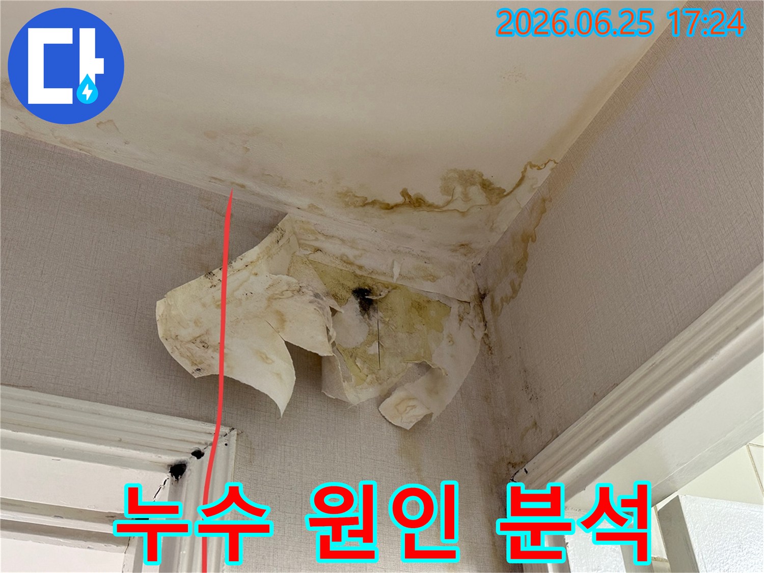 이 사진은 천장과 벽이 만나는 코너에서 발생한 누수-벽지 손상-그리고 곰팡이 증상을 보여줍니다.