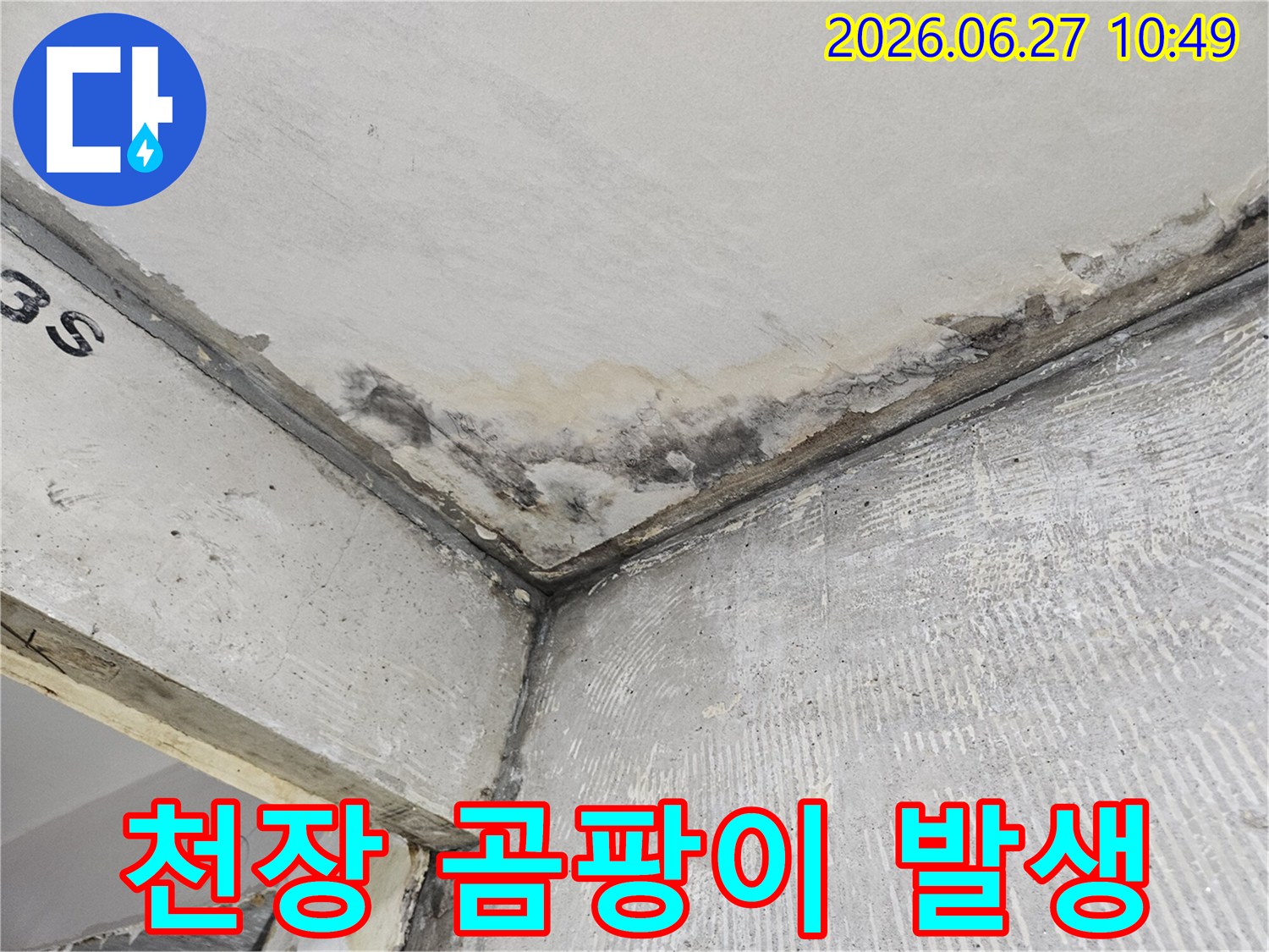 천장과 벽 모서리에 생긴-누수로 인한 곰팡이와-콘크리트 변색이 뚜렷하게 보입니다