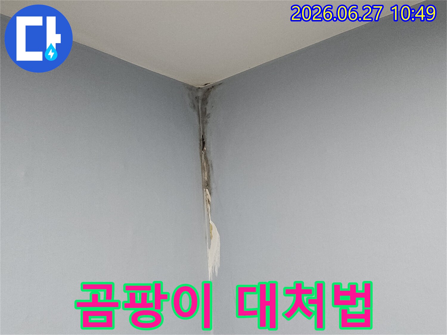 천장과 벽의 모서리 부근에 누수로 인한 벽지 변색과 곰팡이가 발생하여-누수 발생 시 올바른 대처법이 필요한 현장 사진입니다.