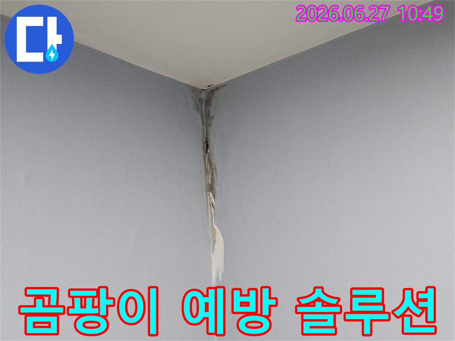 천장과 벽의 모서리 부근에 누수로 인한 벽지 변색과 곰팡이가 발생하여-누수 예방 솔루션이 시급함을 보여주는 현장 사진입니다.