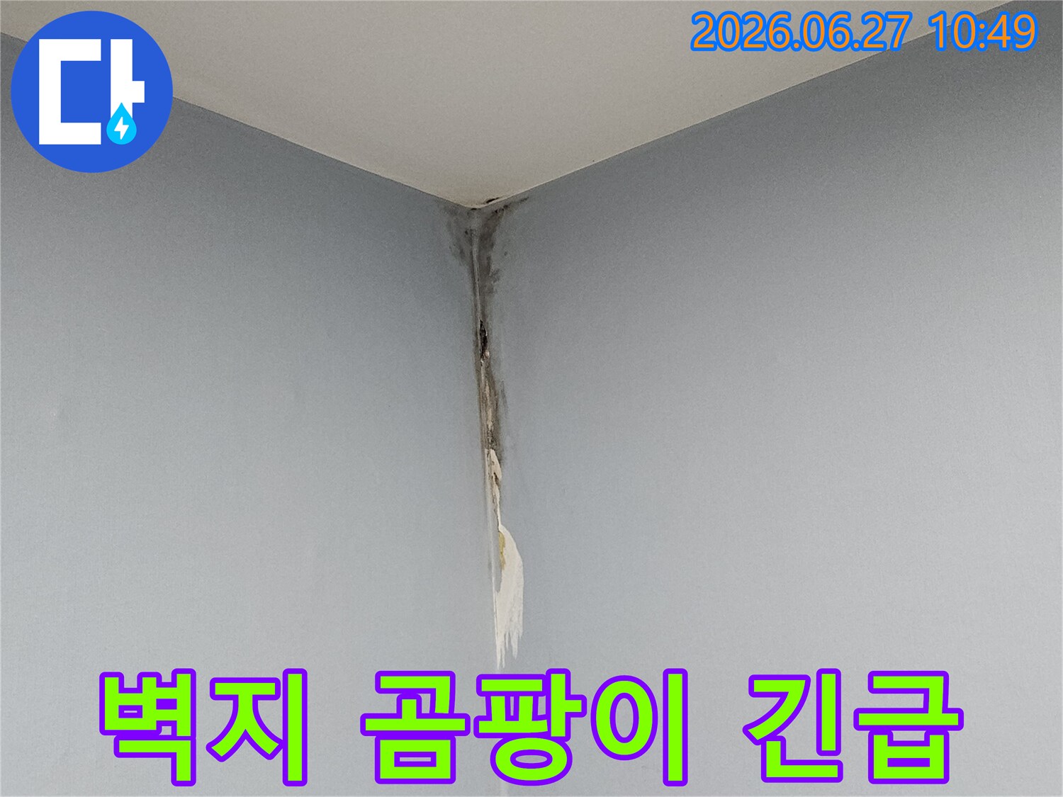 천장과 벽이 만나는 모서리 부분에 누수로 인해 벽지가 심하게 들뜨고 곰팡이가 번져있어-긴급한 누수 조치가 필요한 상황을 보여주는 사진입니다.