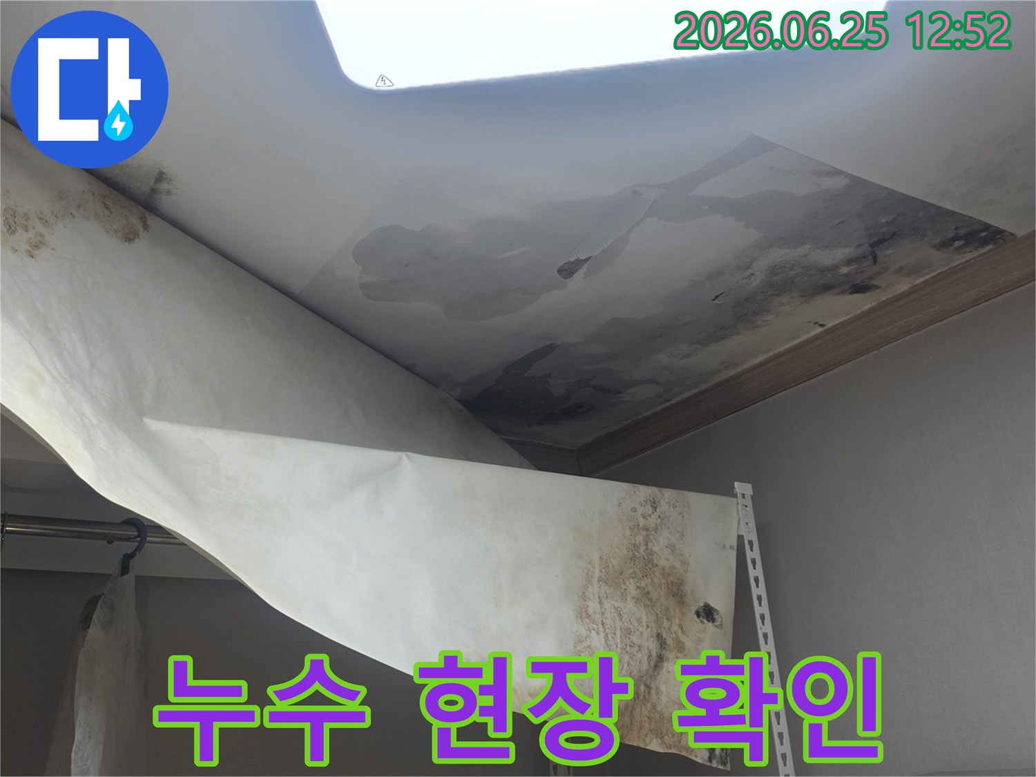 천장 벽지가 물에 젖어-들뜨고 떨어져 내리며-검은 곰팡이가 심하게 피어난-누수 현장입니다