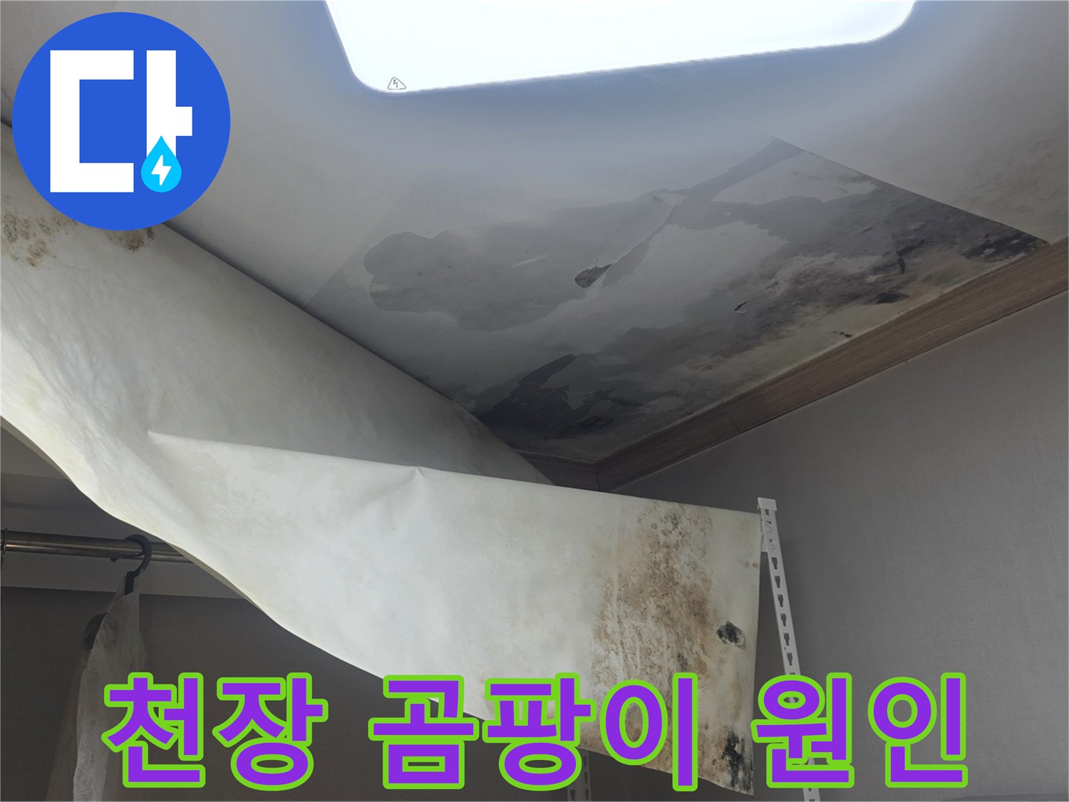 천장 벽지에 생긴-심한 곰팡이와-물에 젖어 떨어진-누수 피해 현장입니다