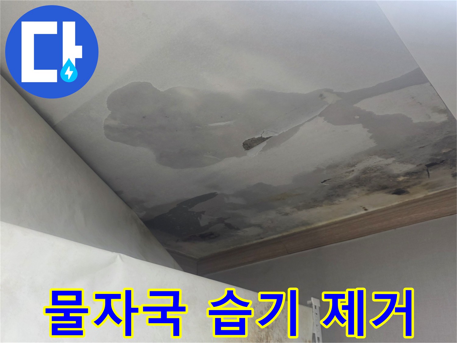 천장에 넓게 퍼진 물자국과-습기로 인한 곰팡이는-윗집 누수로 인한 것이며-습기 제거와 건조 작업이 필수적입니다.