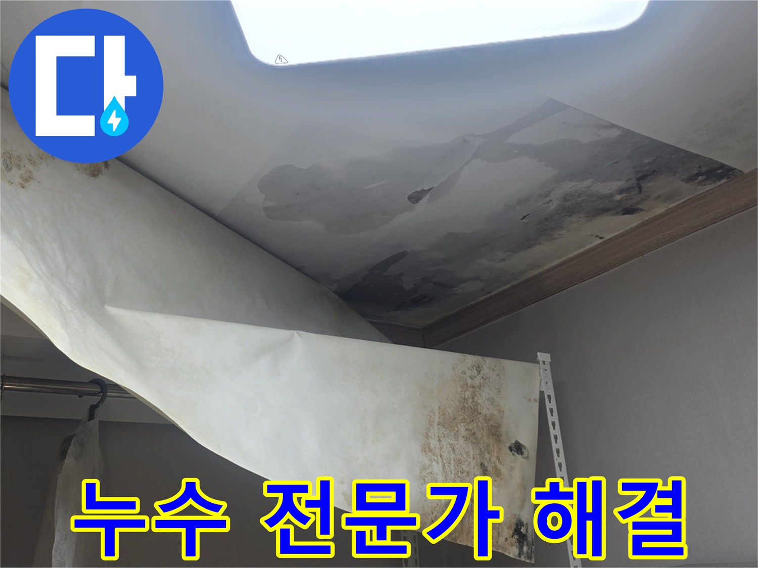 천장에서 물이 새서-벽지가 젖고-곰팡이가 발생한-심각한 누수 현장을-전문가가 완벽하게 해결하고 있습니다