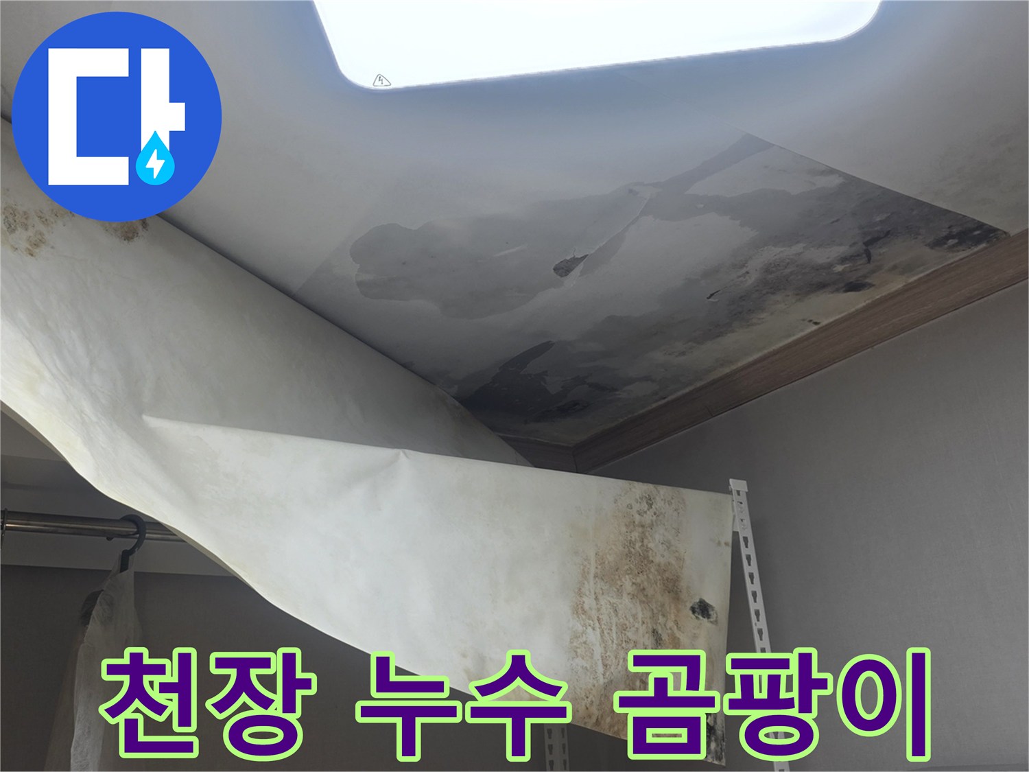 천장에서 물이 새서-벽지가 젖고-곰팡이가 심하게 생긴 모습입니다