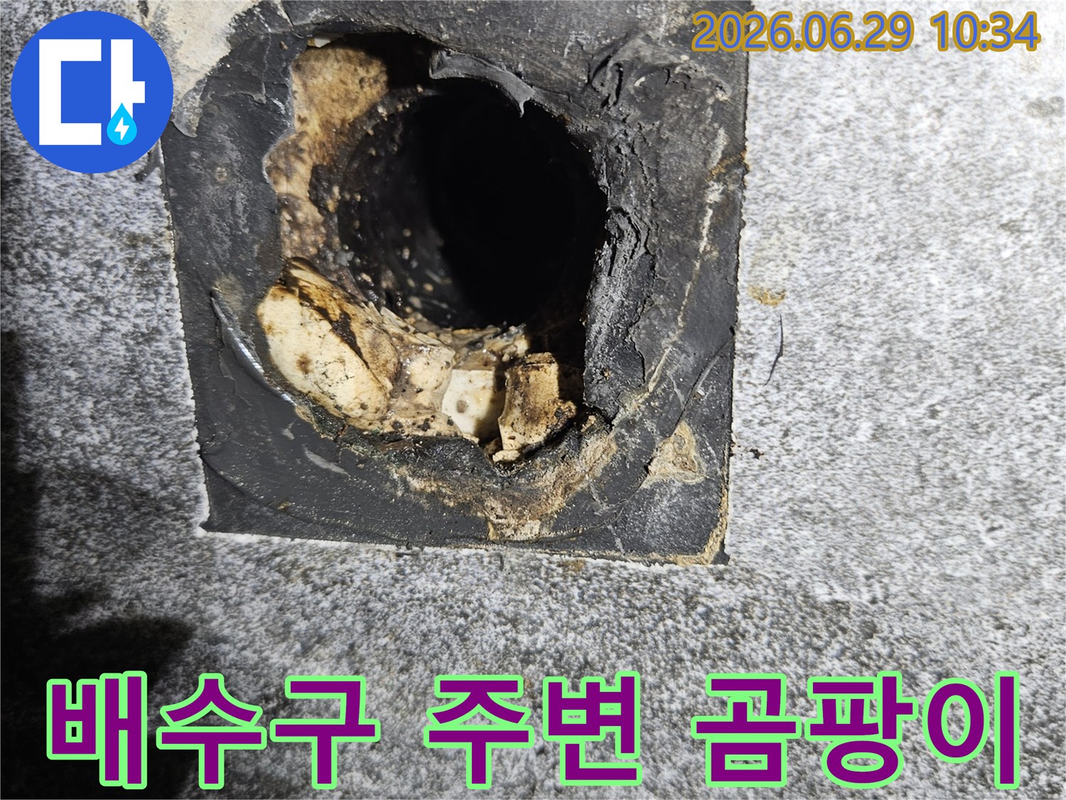 베란다-배수구-주변-곰팡이-누수-징후-현장-사진