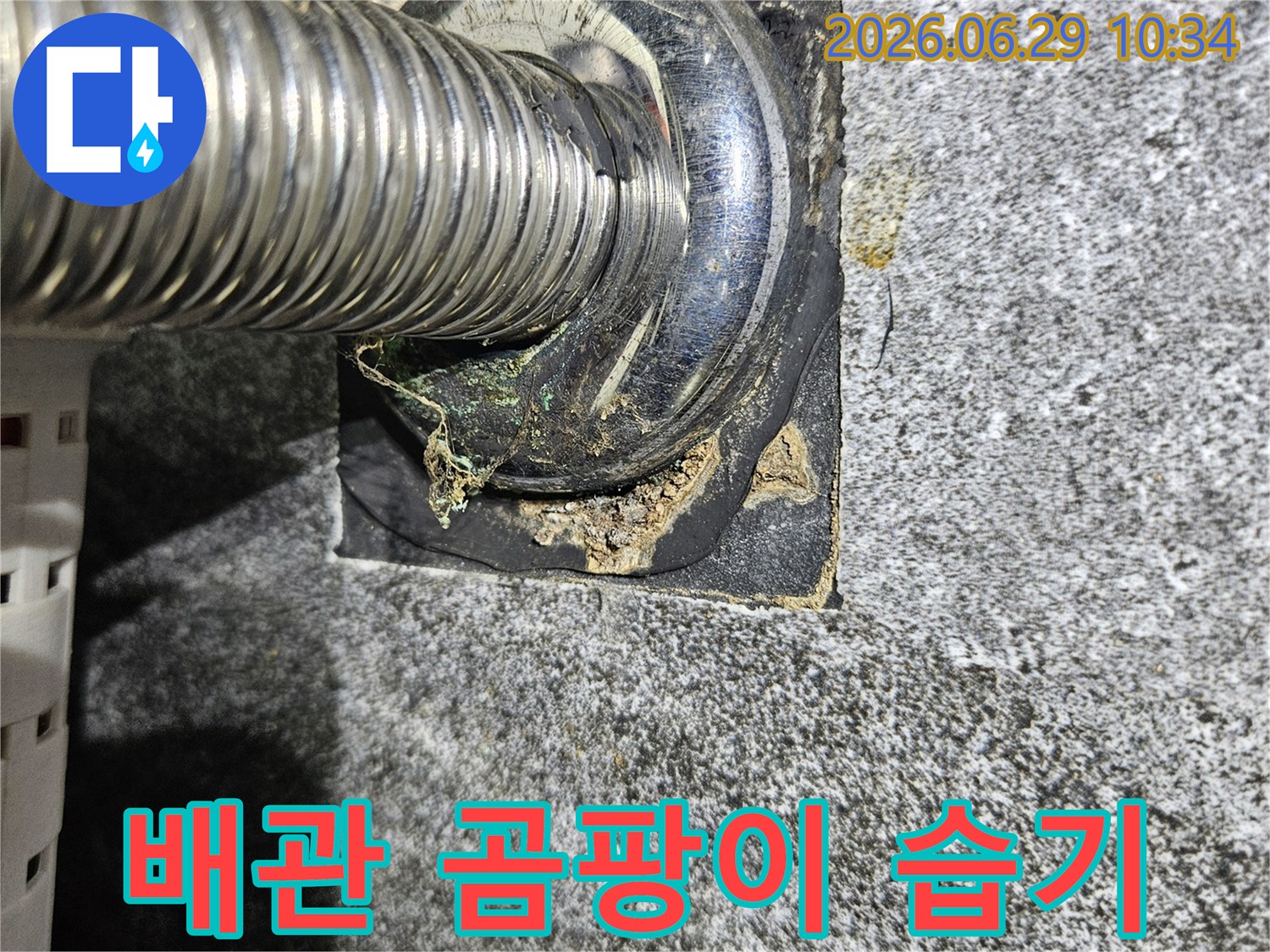 중계동-아파트-누수-현장에서-발견된-배관-주변의-곰팡이와-습기-흔적
