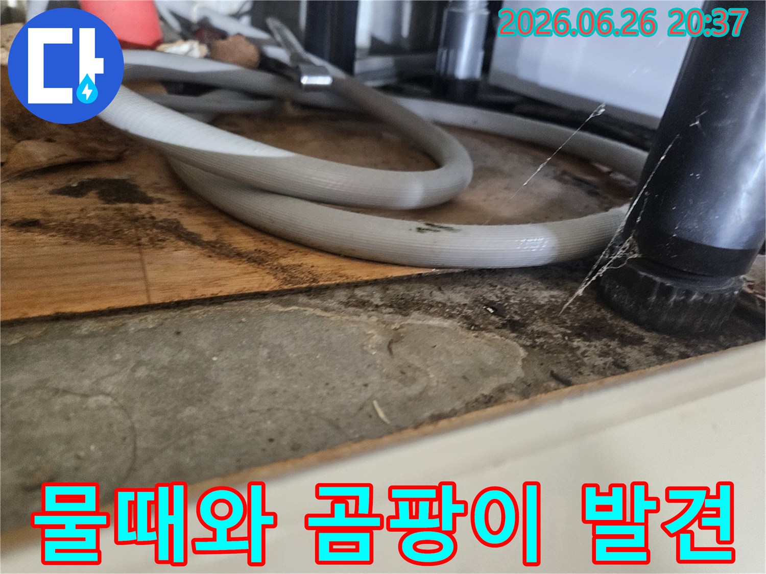 습기와-곰팡이로-얼룩진-싱크대-하부-공간의-위생-불량-상태