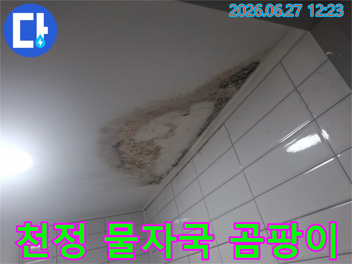 오래된-아파트-천장에서-발생한-심각한-누수-및-곰팡이-오염-현장-사진