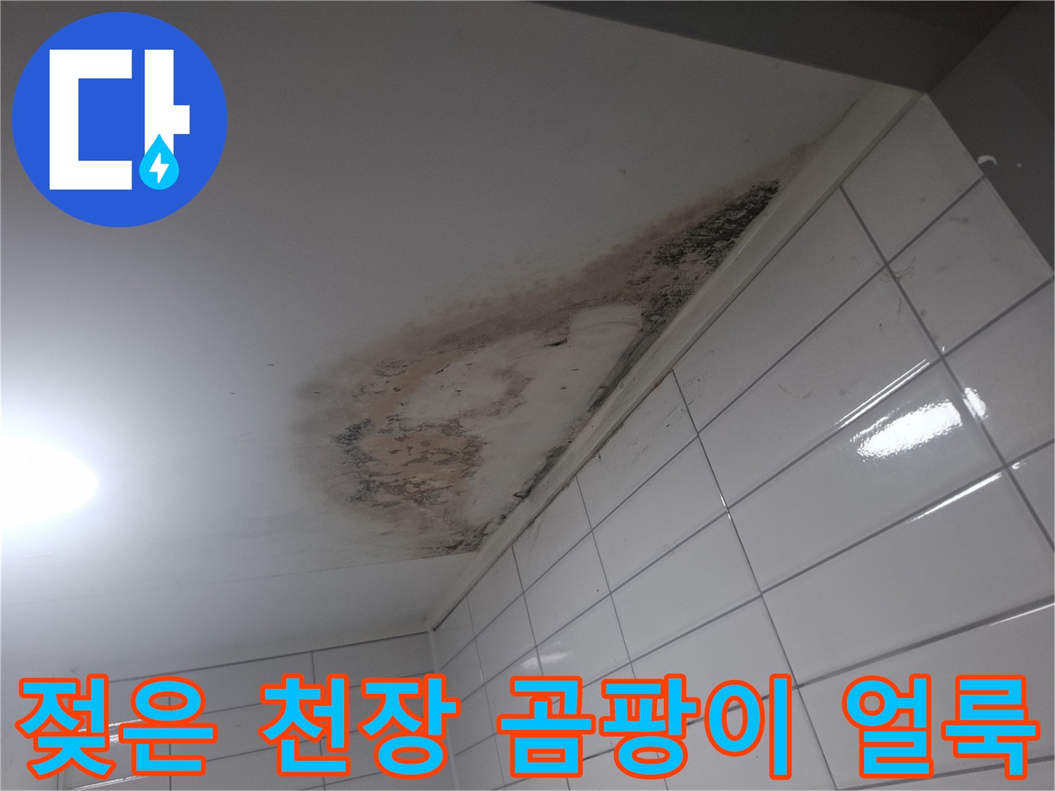욕실 천장 경계-물에 젖어 변색된 천장과 곰팡이 번짐