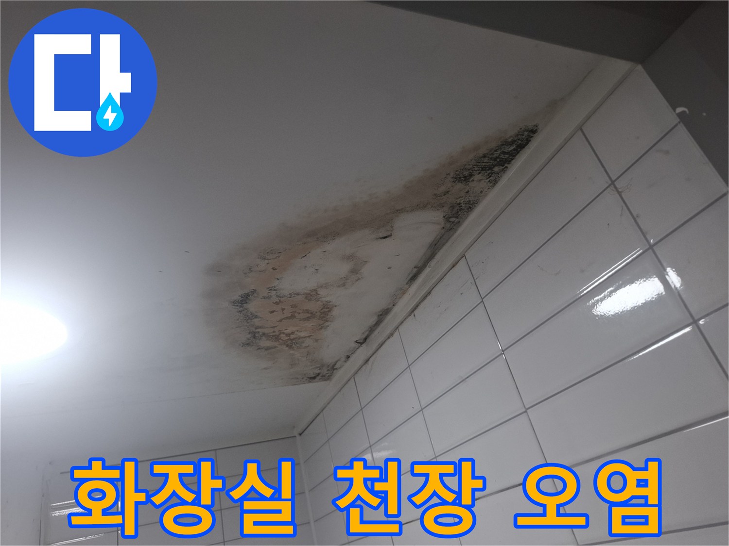 용산구 아파트-화장실 천장에 발생한 넓은 물자국과 곰팡이 상태